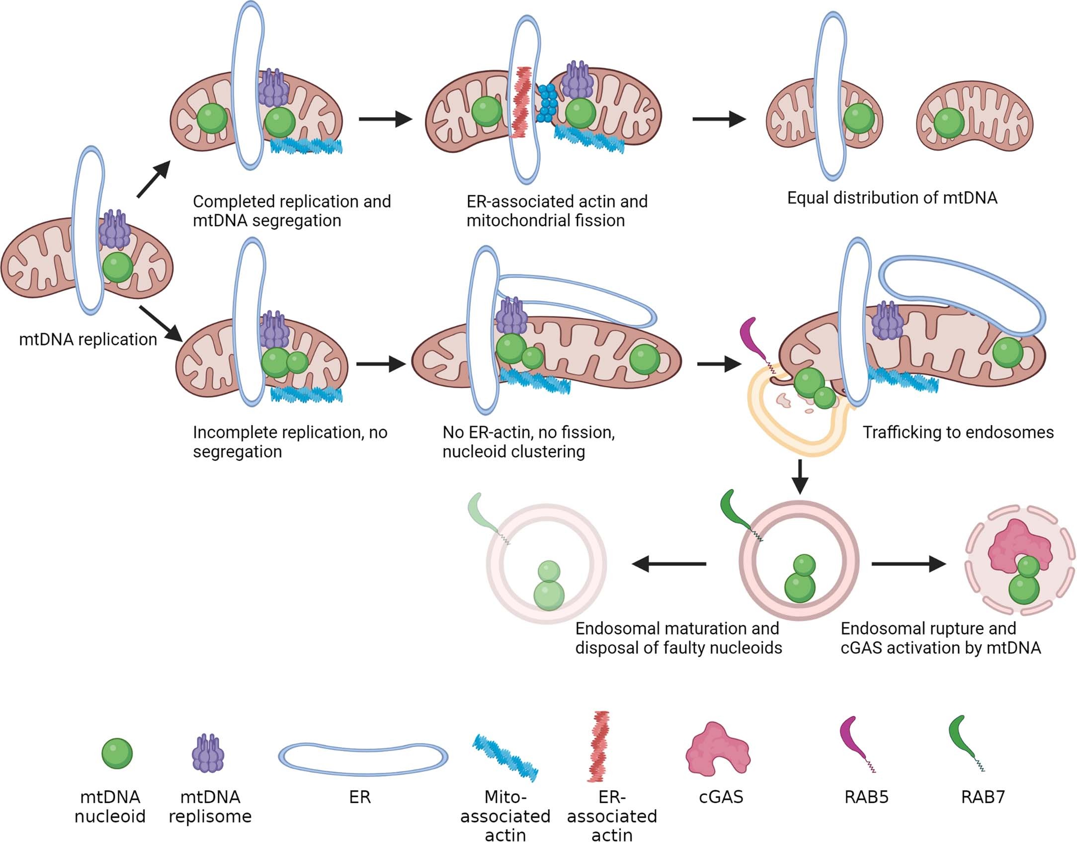 Extended Data Fig. 10