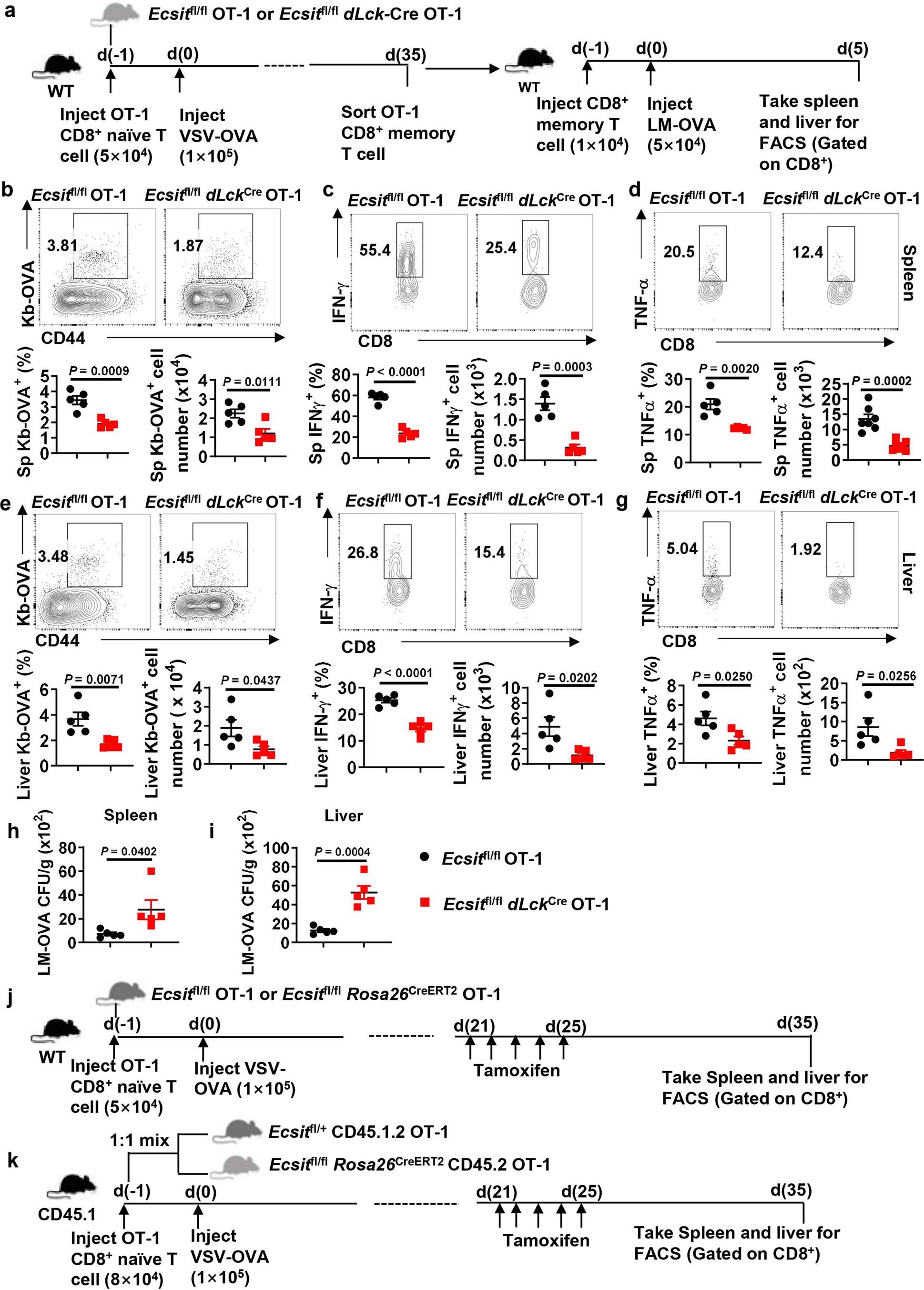 Extended Data Fig. 2: ECSIT promotes the recall response of memory CD8+ T cells.