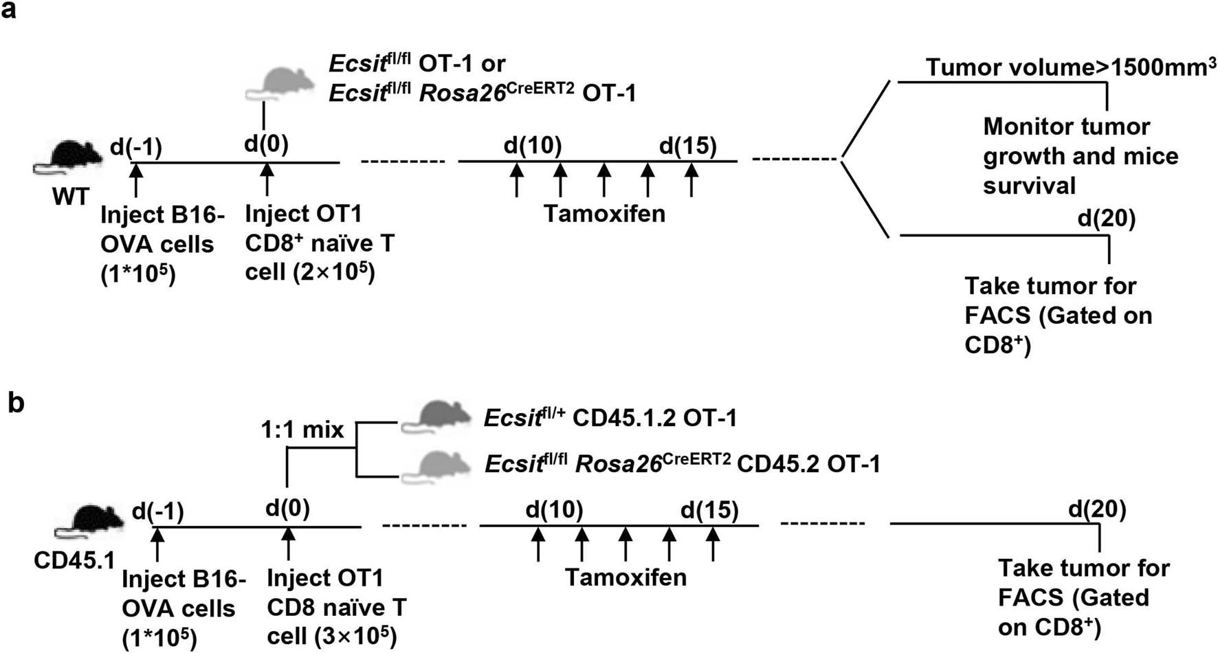Extended Data Fig. 8: ECSIT deficiency impairs CD8+ T cells antitumour function through cell-intrinsic mechanisms.