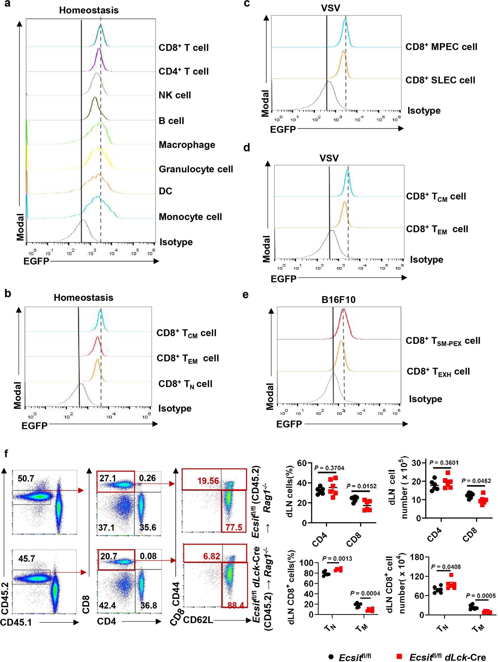 Extended Data Fig. 1: ECSIT is upregulated in memory CD8+ T cells, and promotes memory CD8+ T cells generation in a cell-intrinsic manner under the homeostasis.