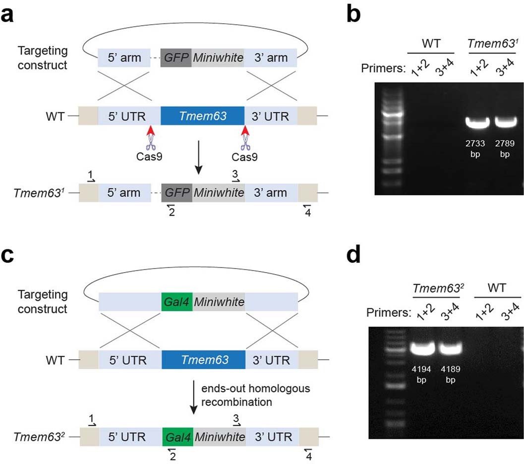 Extended Data Fig. 4