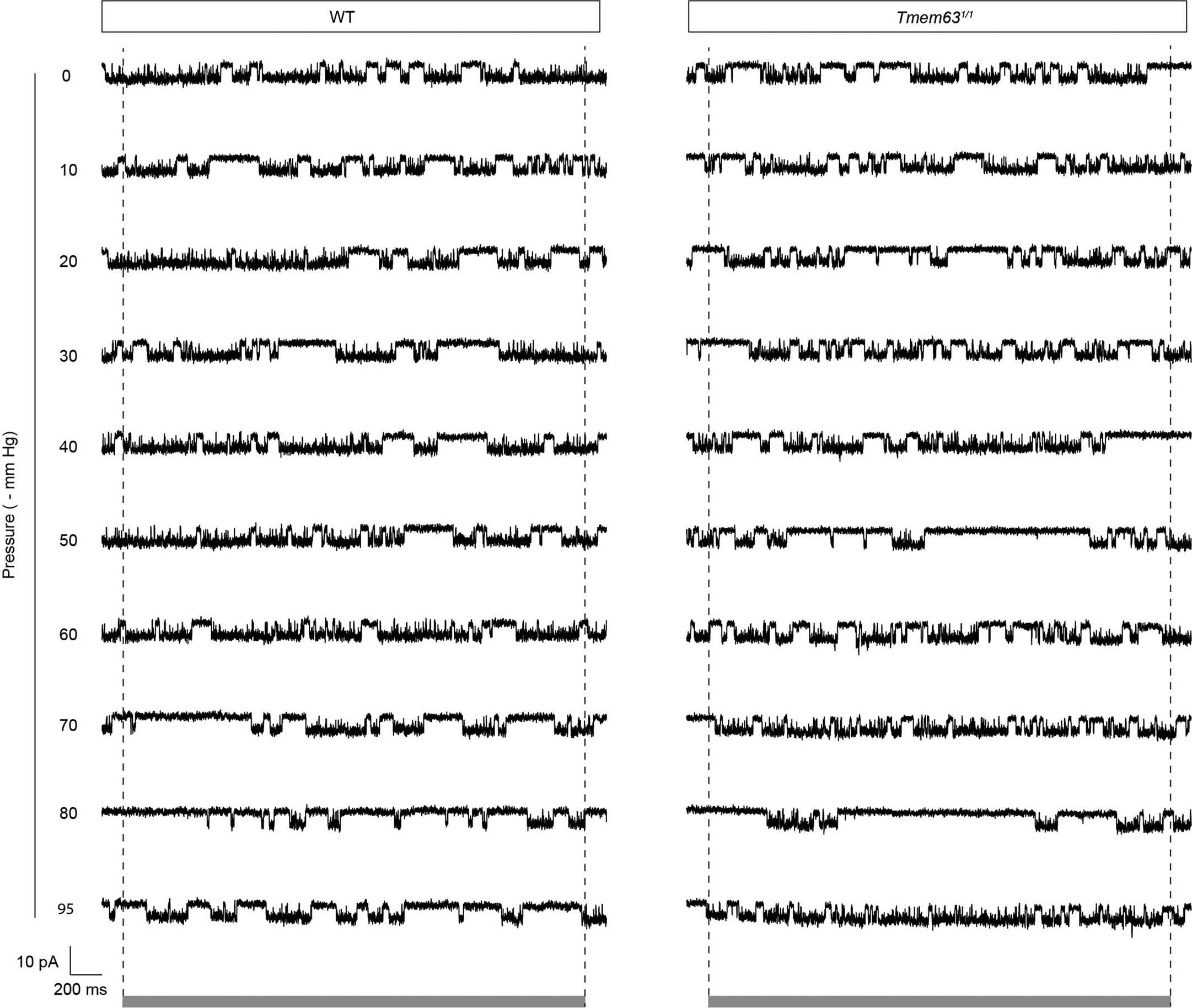 Extended Data Fig. 5