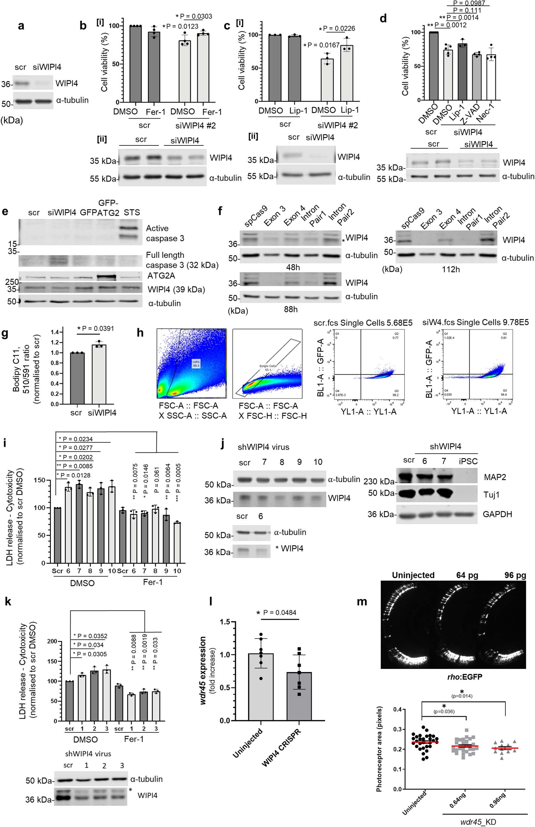 Extended Data Fig. 1
