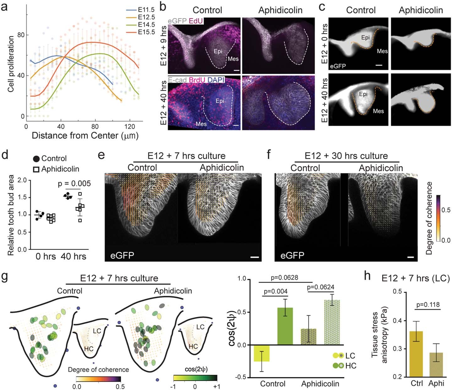 Extended Data Fig. 4