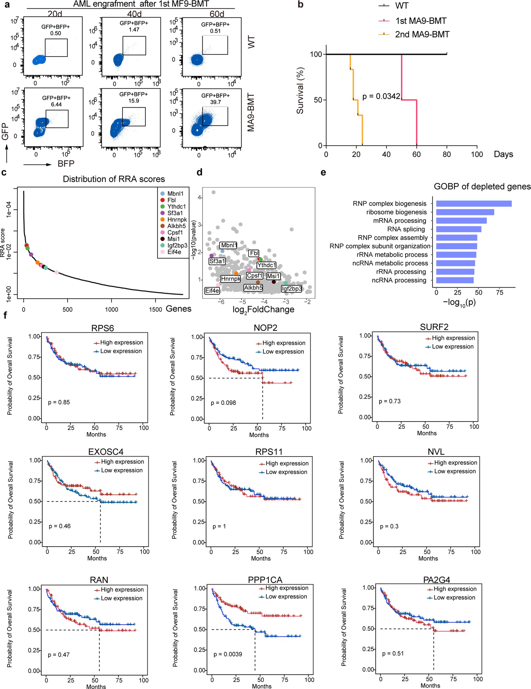 Extended Data Fig. 1: Other candidates from CRISPR screen hits do not correlate with the prognosis of AML patients.