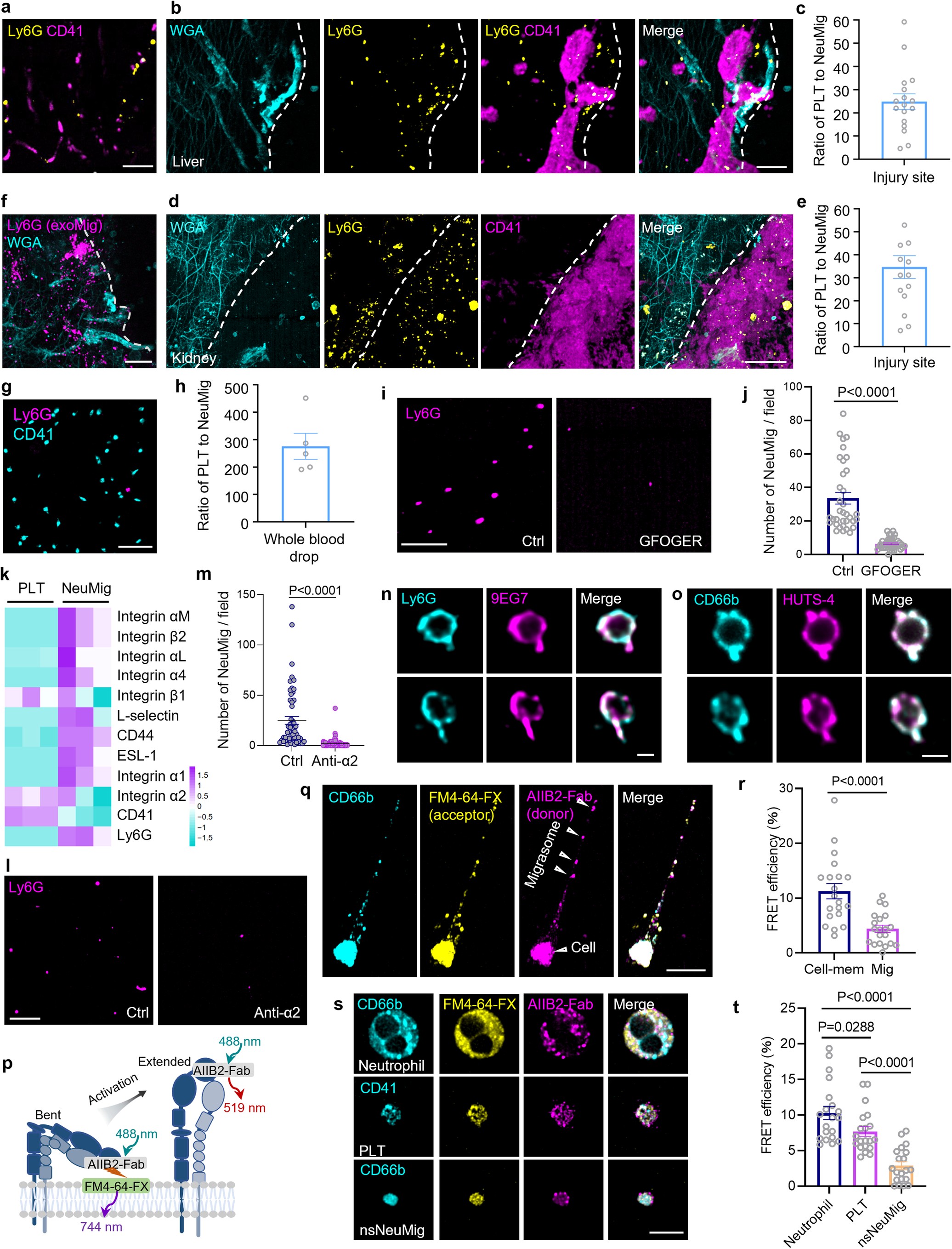 Extended Data Fig. 4