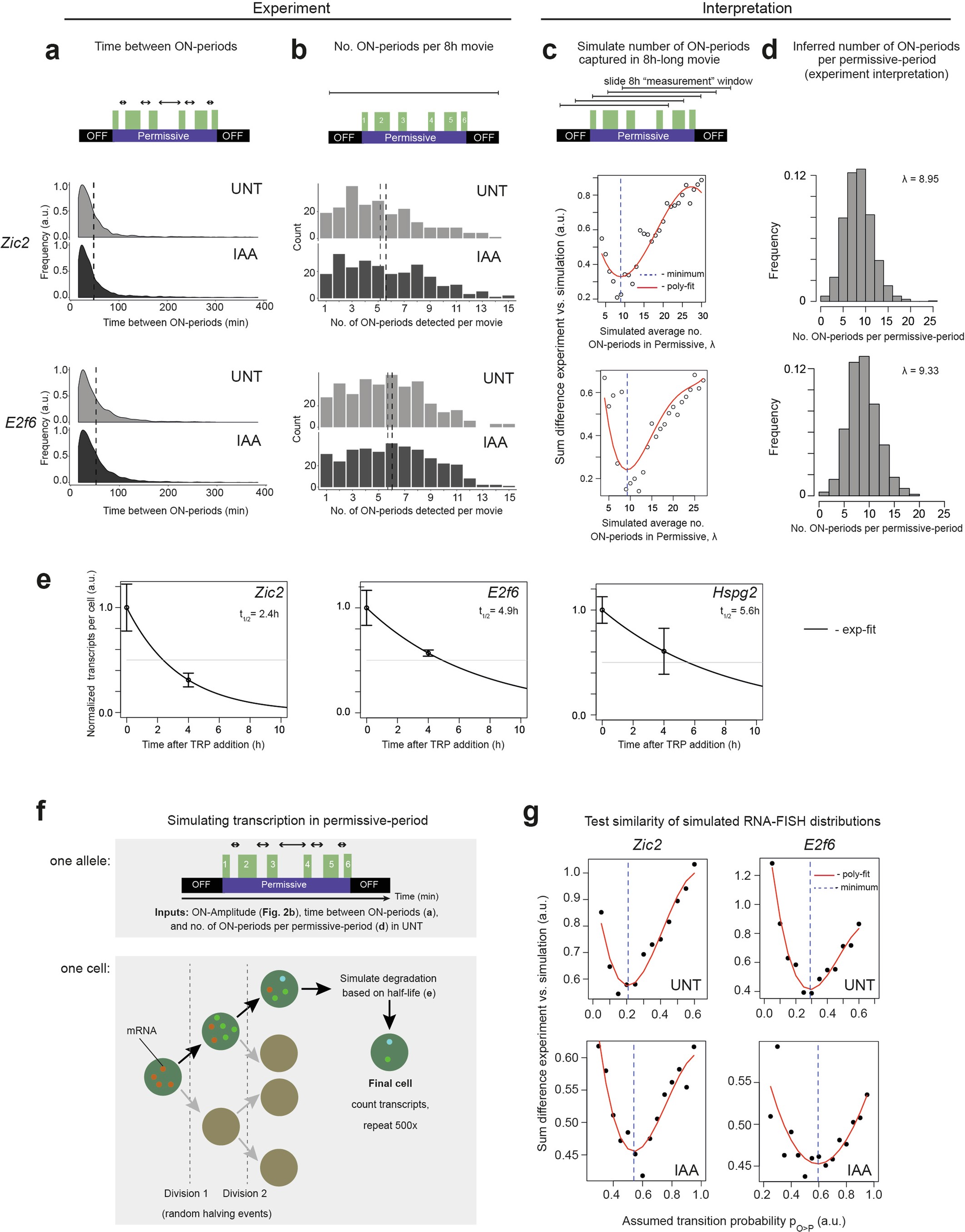 Extended Data Fig. 4: Stochastic simulations of transcription to obtain transcript-per-cell distributions and estimate transition probability from OFF- to Permissive-states for Polycomb genes.