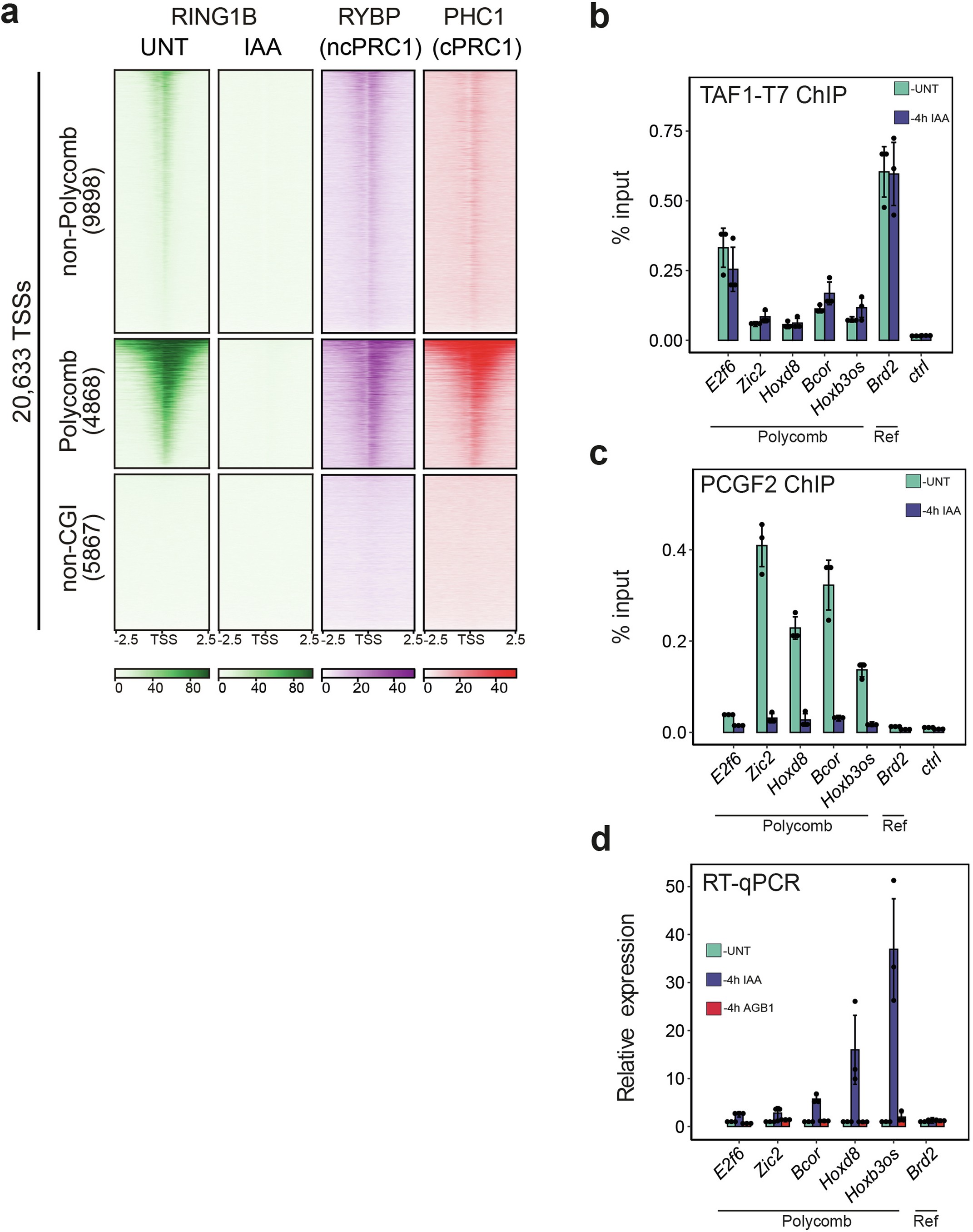 Extended Data Fig. 6: Genome-wide occupancy of canonical PRC1 complexes and their role in TFIID binding.