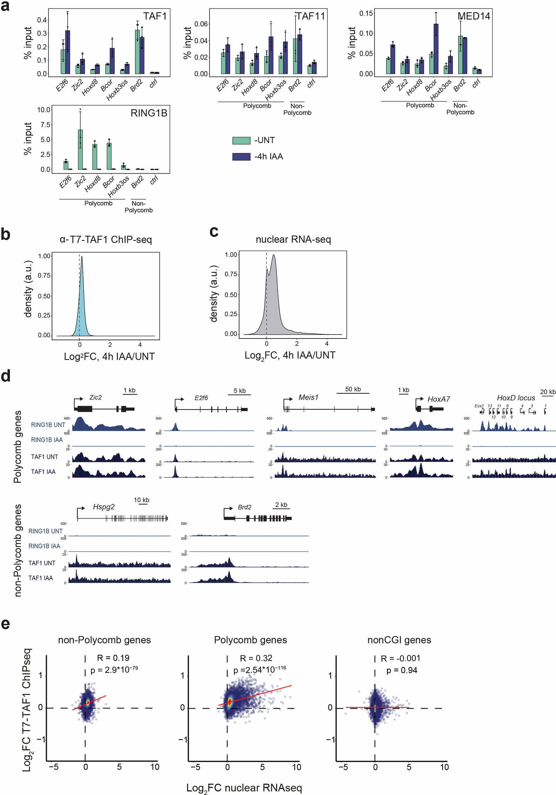 Extended Data Fig. 7: Effects of PRC1 on the binding of the components of transcription machinery.