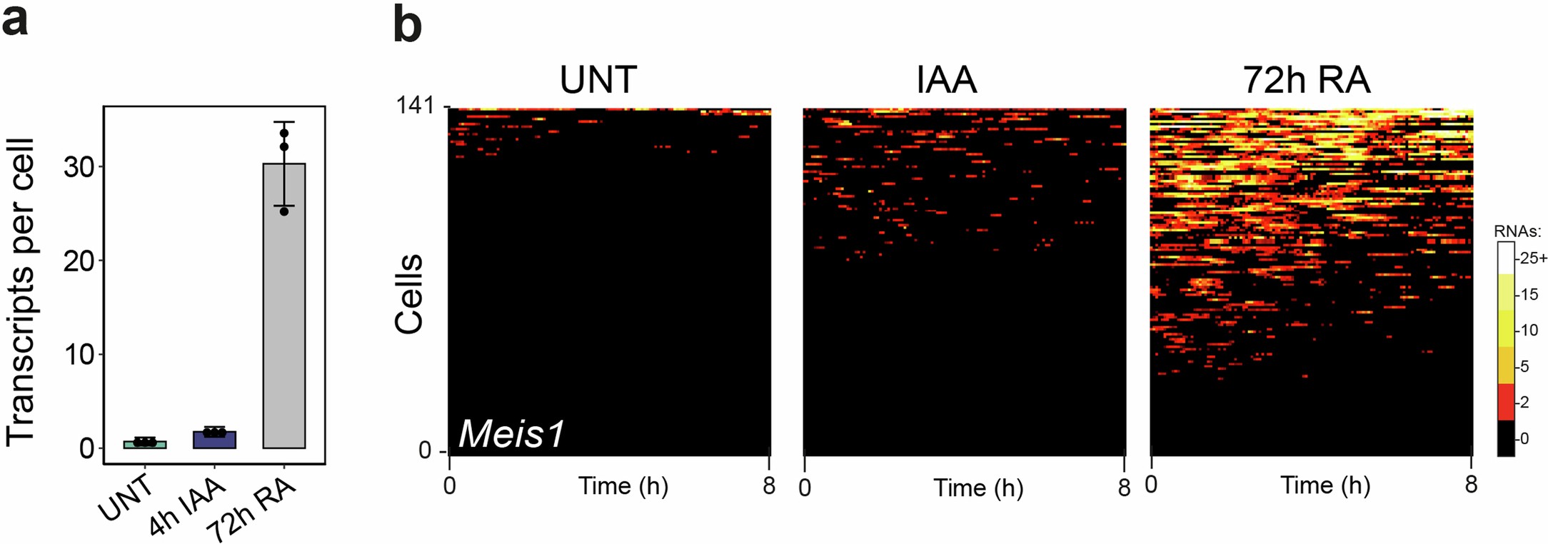 Extended Data Fig. 8: Effects of PRC1 depletion on transcription of lowly expressed Polycomb targets are distinct from its activation.