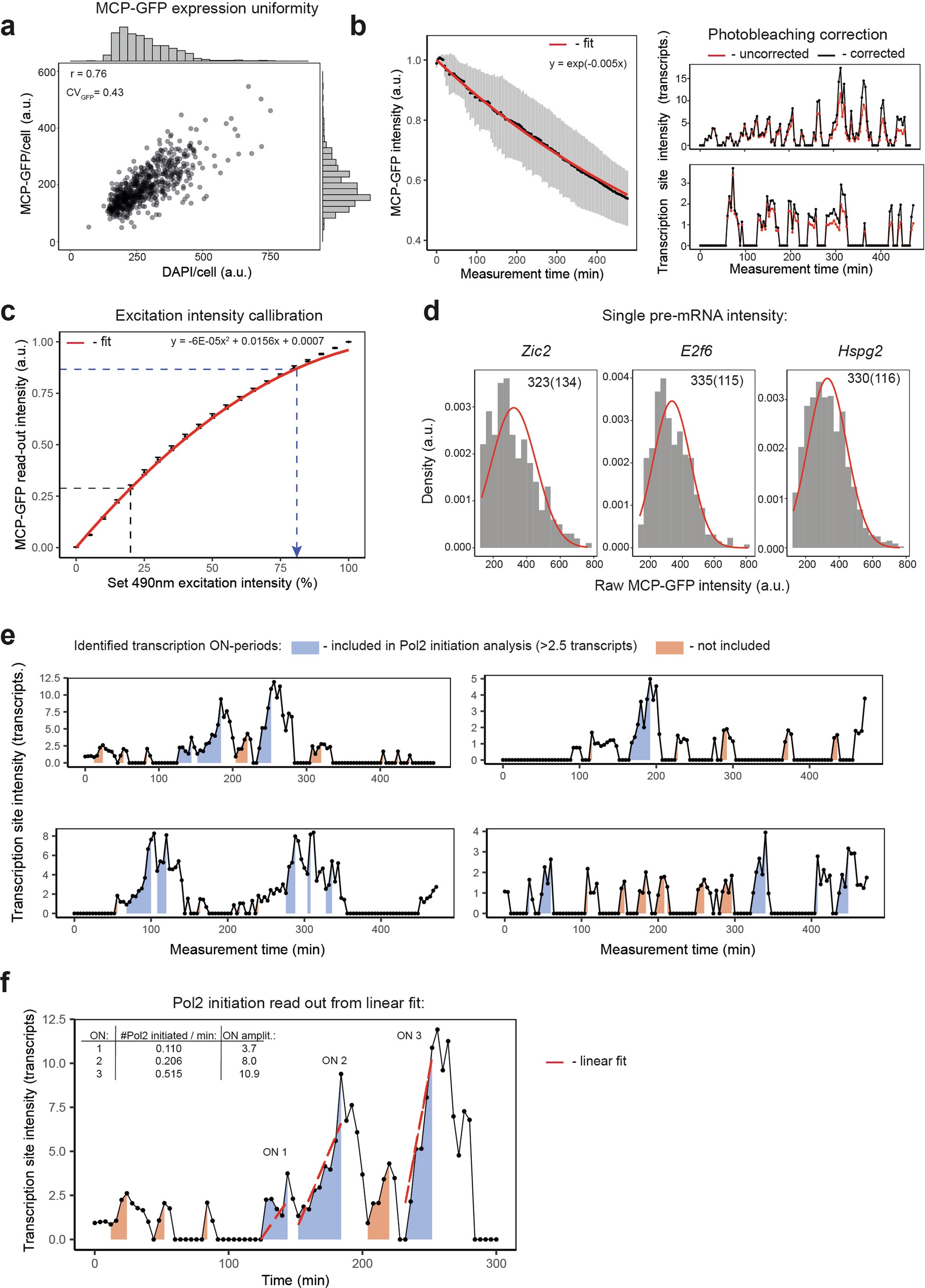 Extended Data Fig. 3: Characterisation of live-cell transcription imaging with single-transcript sensitivity and ON-period analysis.