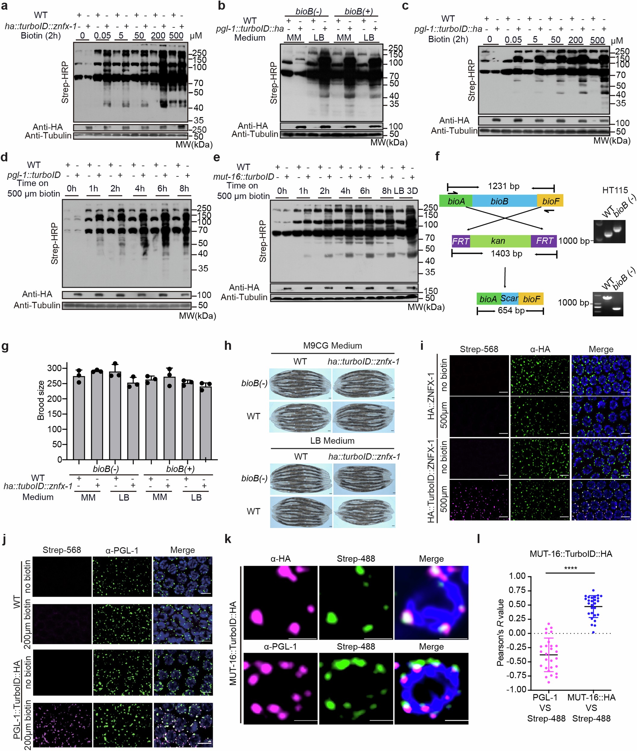 Extended Data Fig. 2