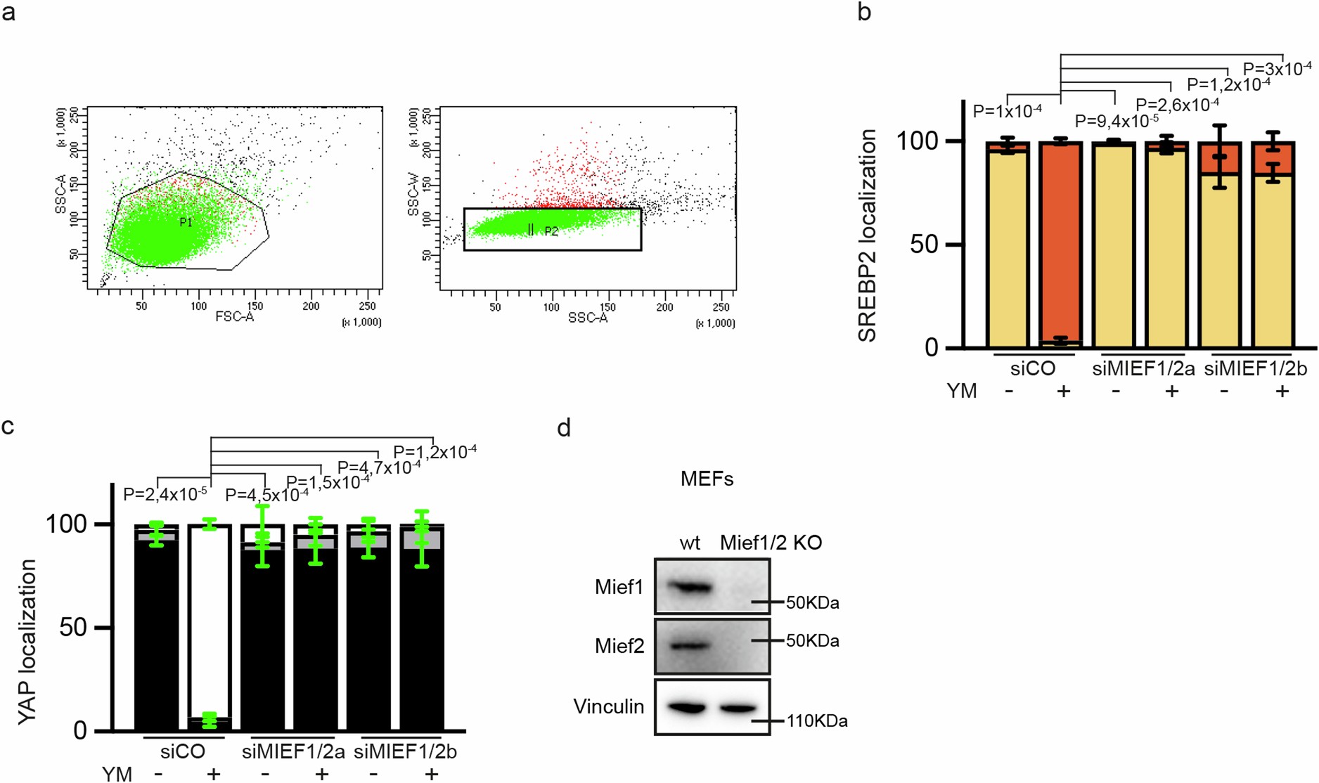 Extended Data Fig. 5: Mitochondrial mechanotransduction depends on the MIEF1-2
                                    fission factors.