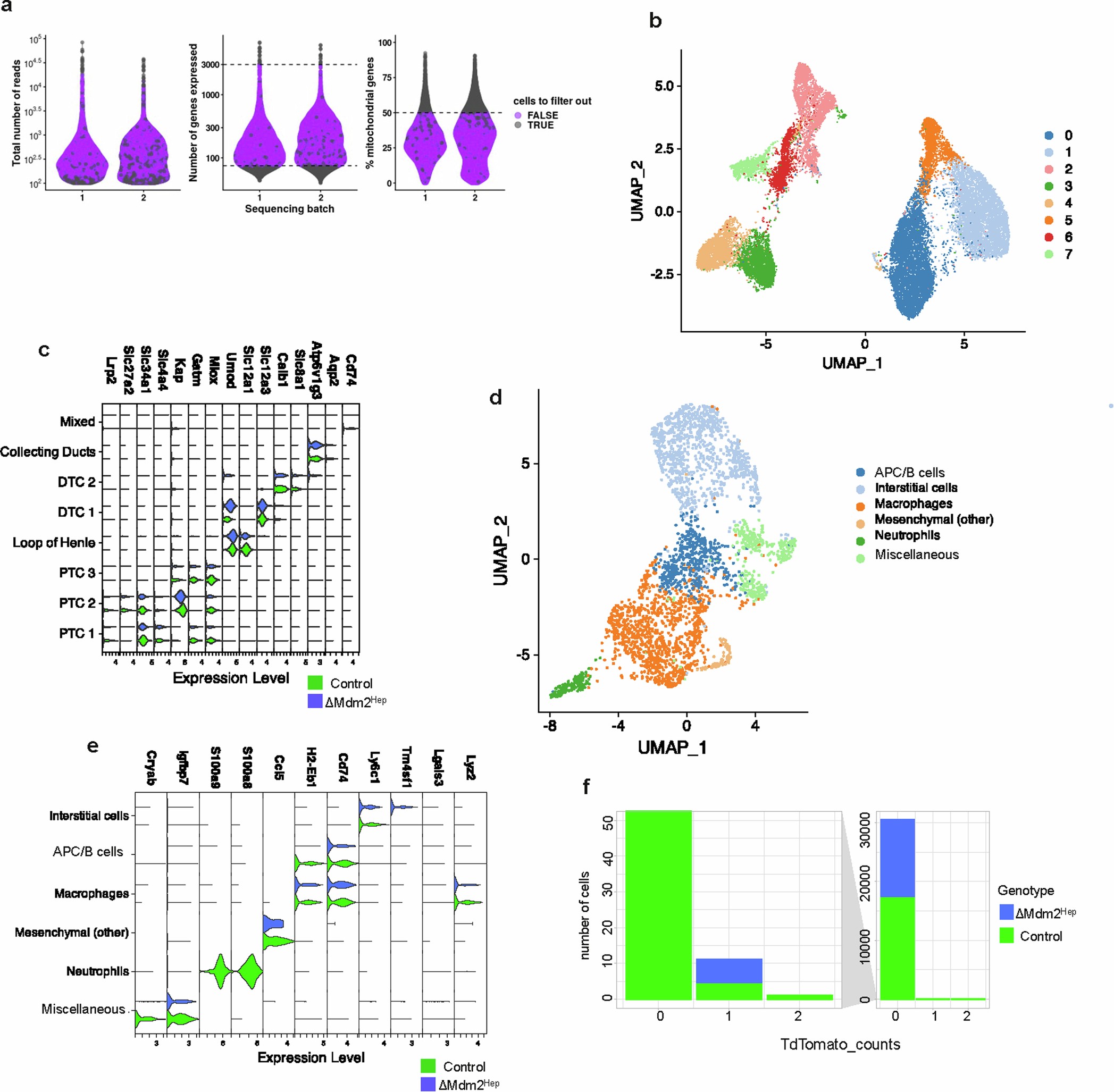 Extended Data Fig. 5: Sub-clustering and cell type assignment in the scRNA-seq data.