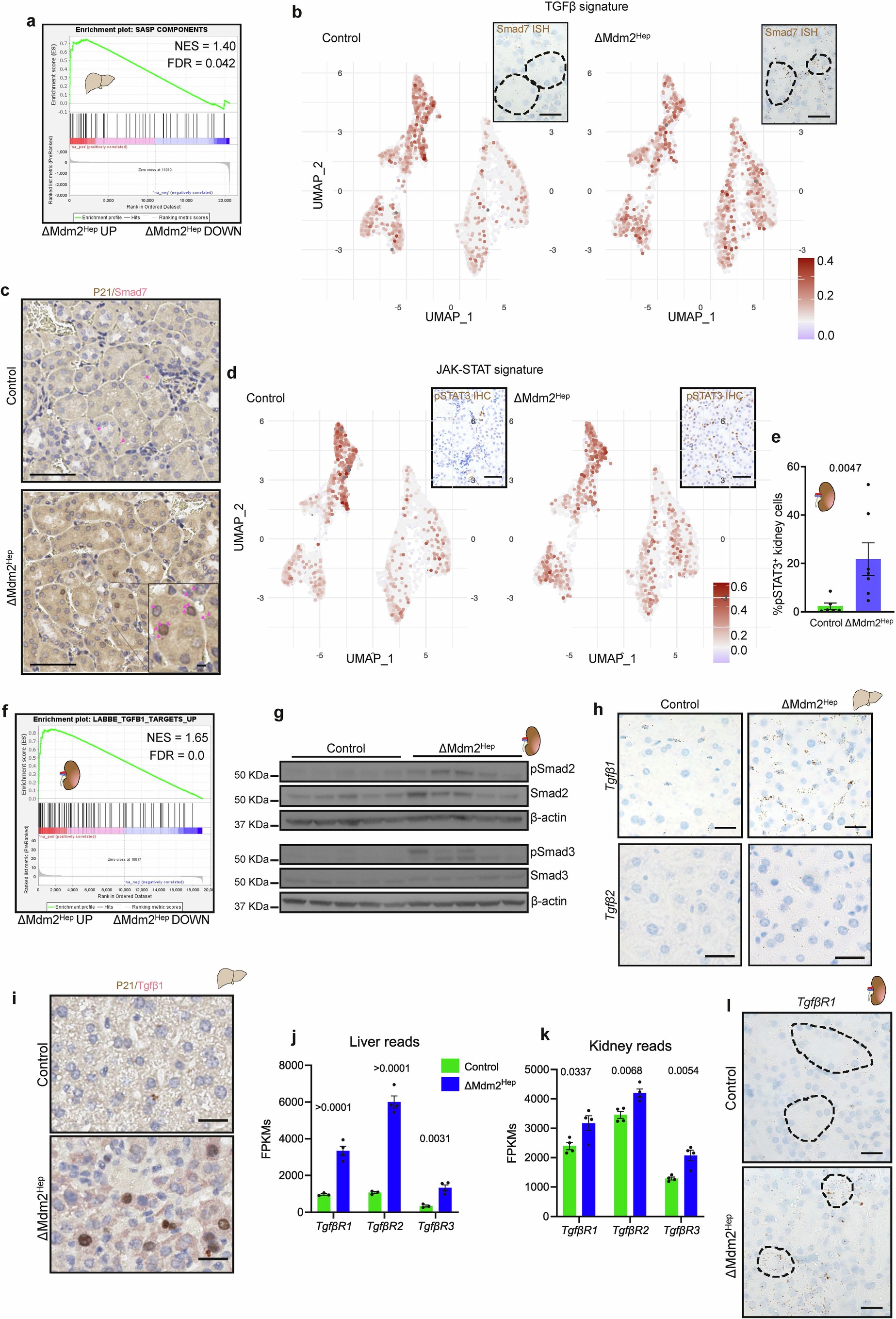 Extended Data Fig. 7
