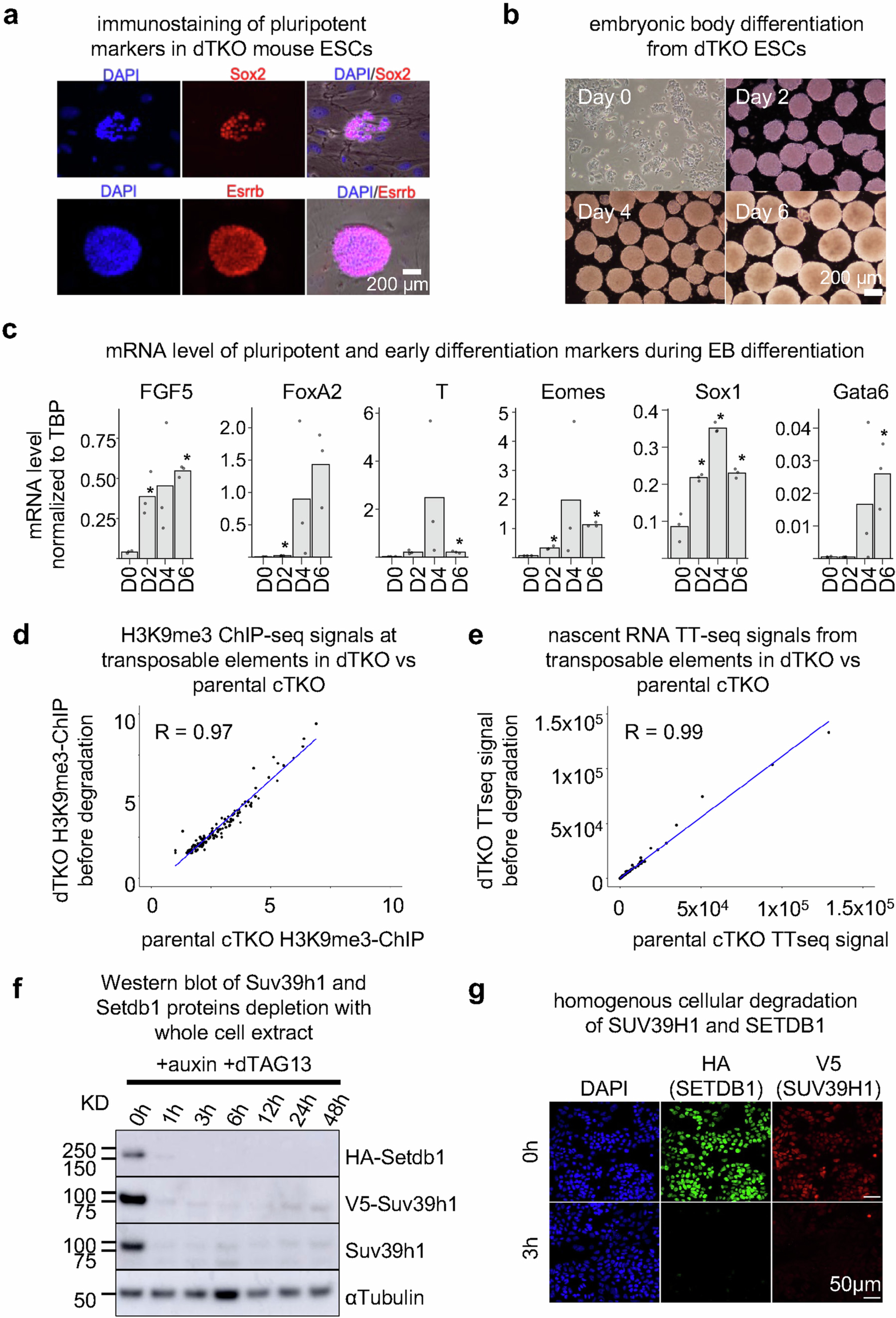 Extended Data Fig. 1