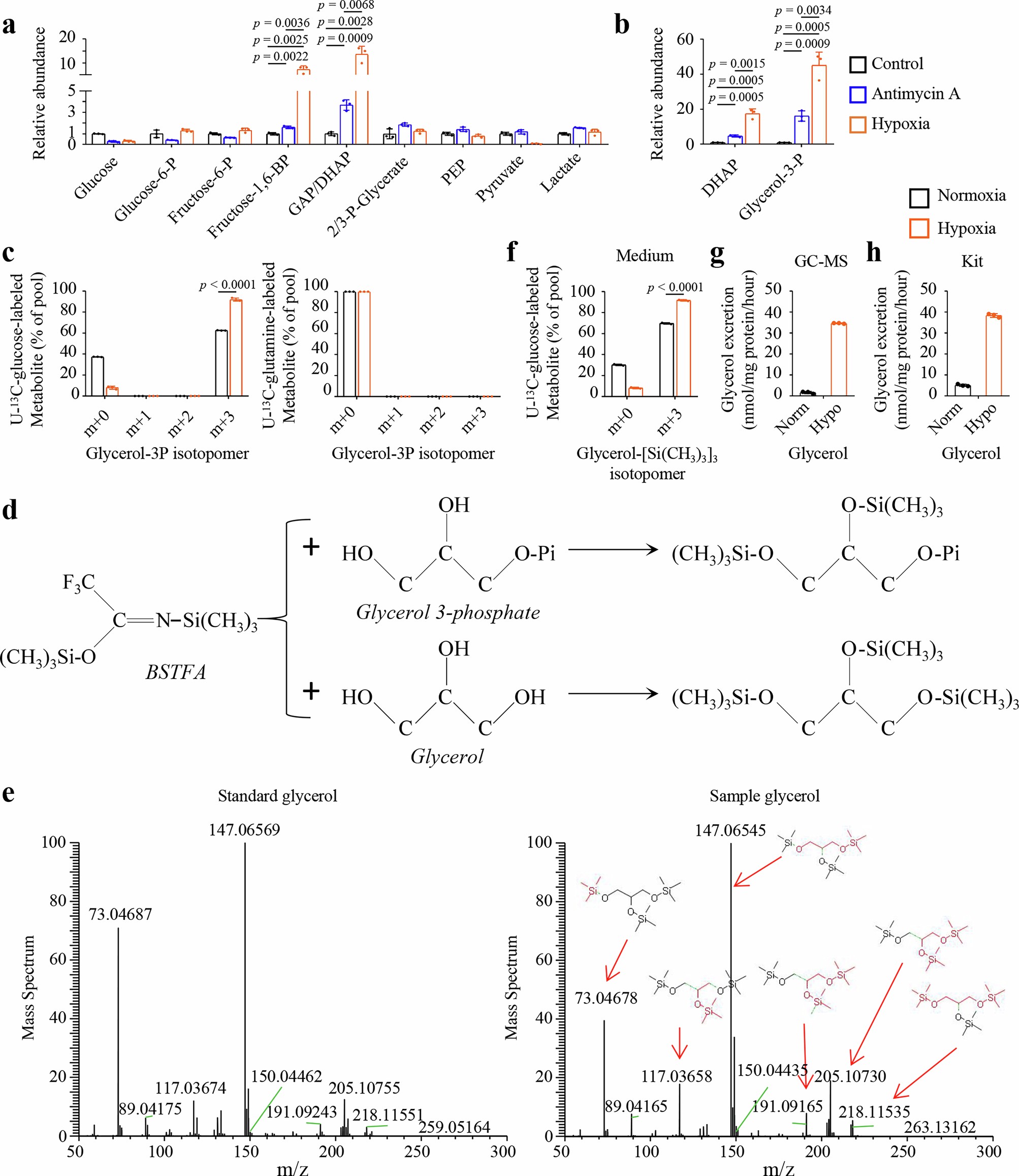 Extended Data Fig. 1: Hypoxia promotes glycerol 3-phosphate biosynthesis.