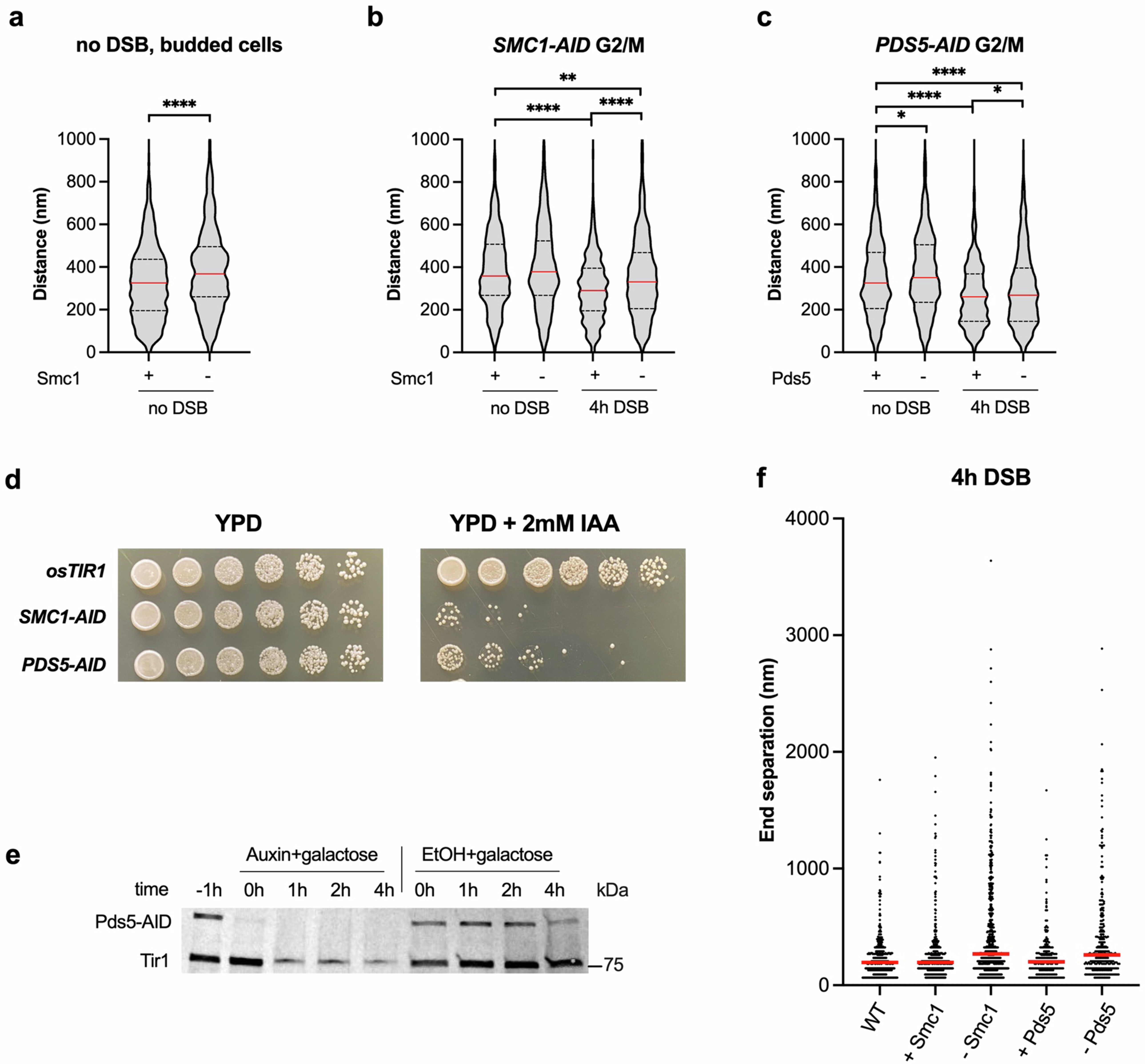 Extended Data Fig. 5