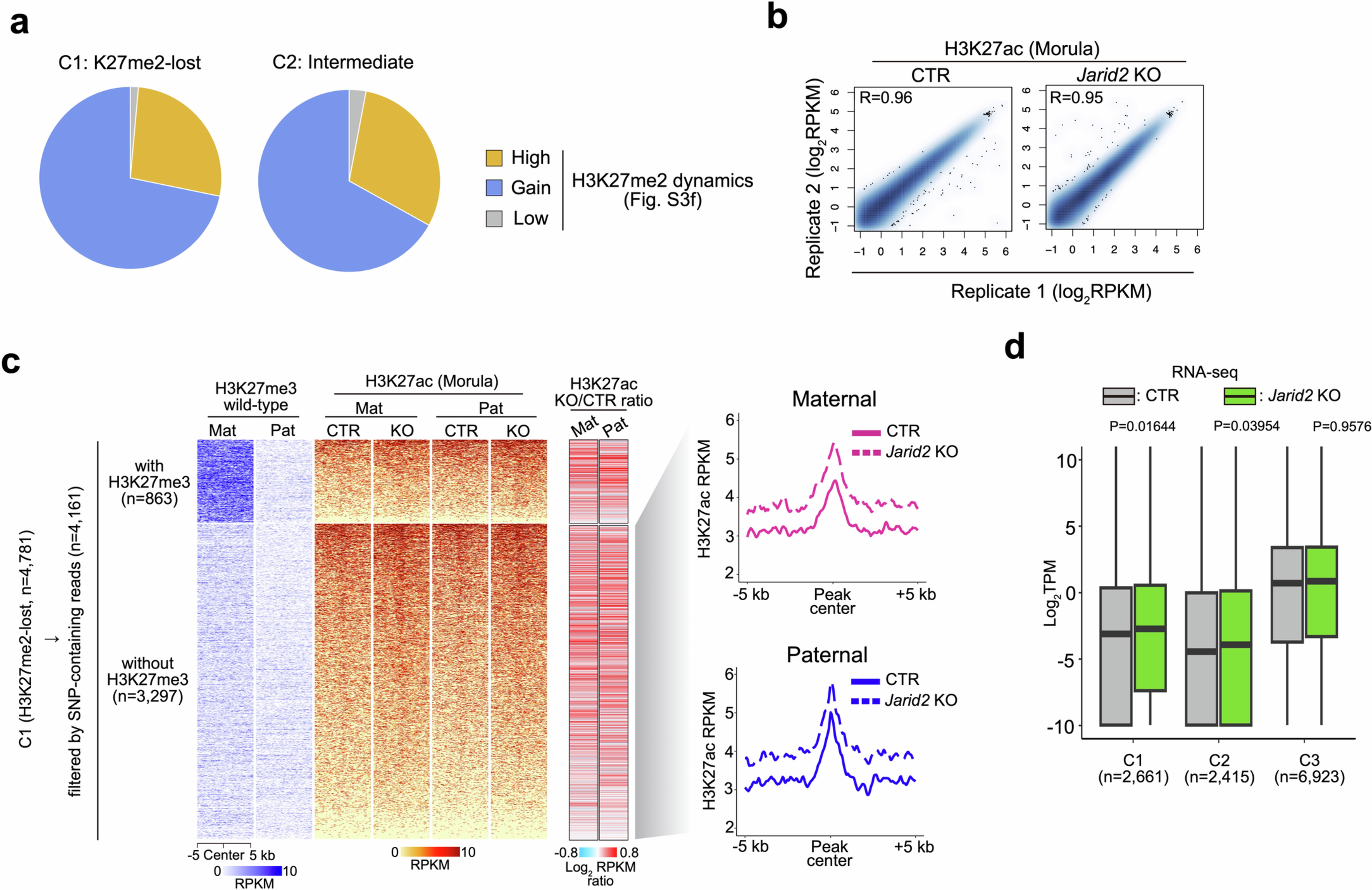 Extended Data Fig. 6: Characterization of H3K27ac in Jarid2 KO morula embryos.
