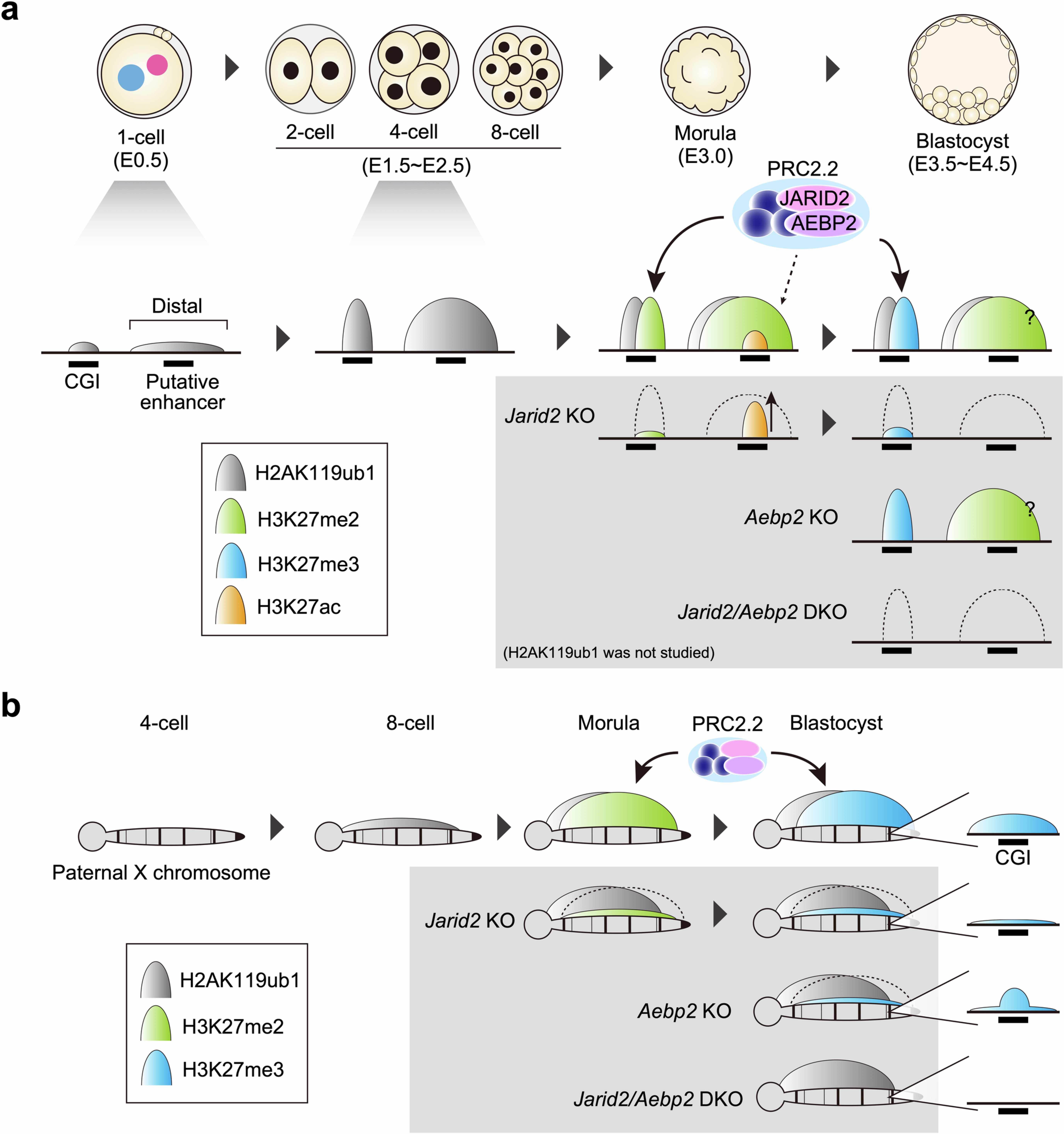 Extended Data Fig. 8