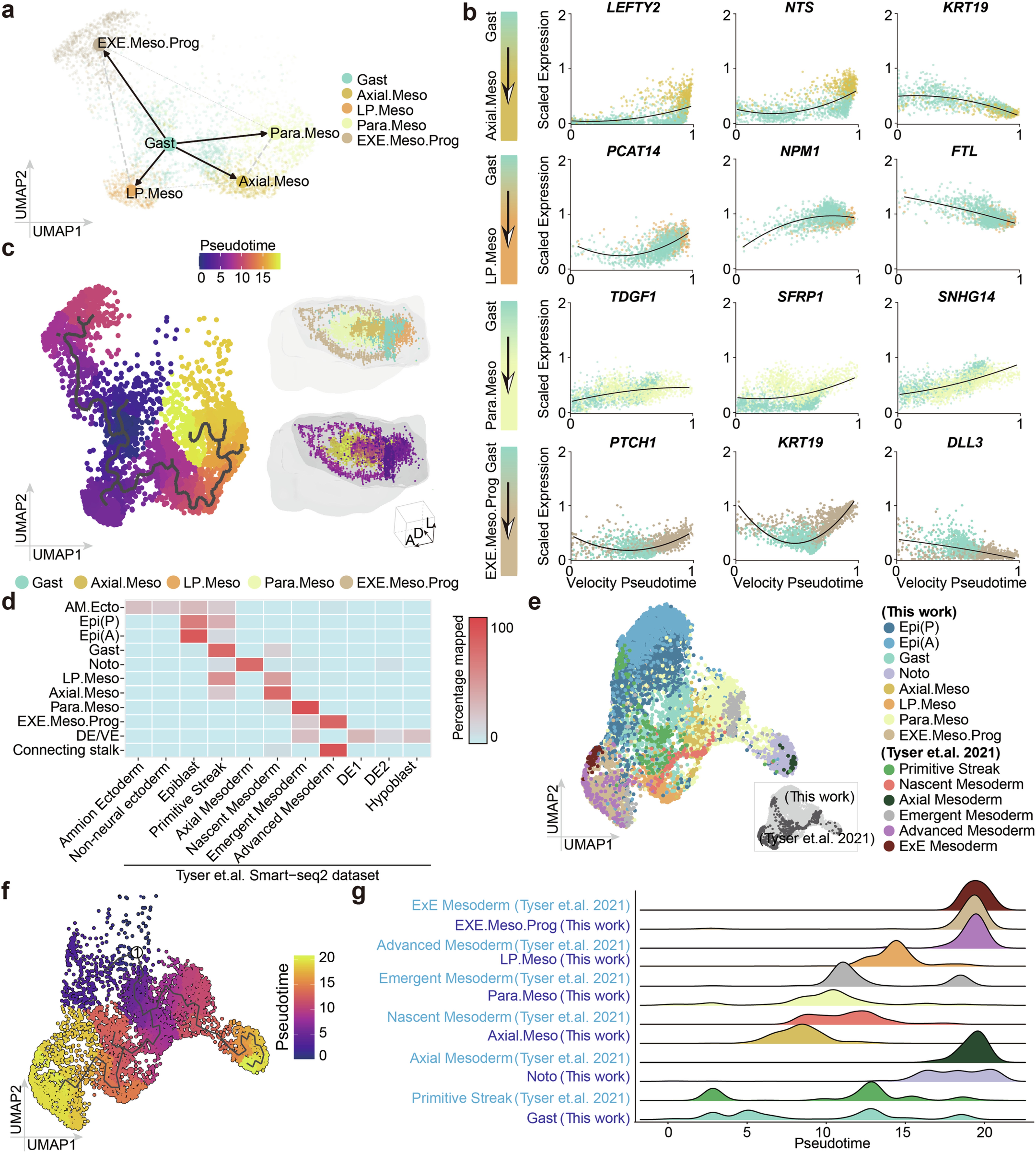 Extended Data Fig. 5: Comparison and trajectory analysis in human CS7 embryo.