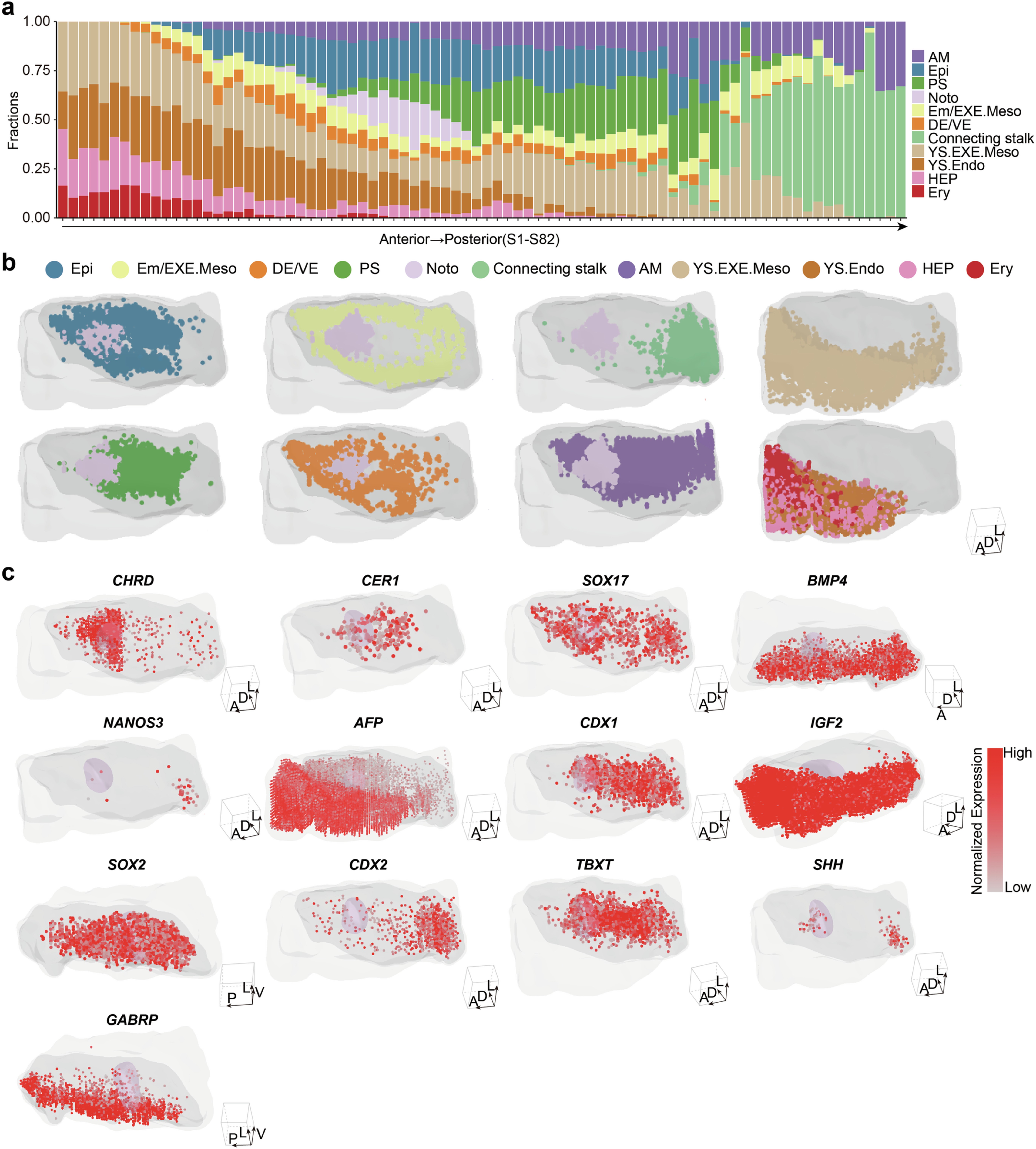 Extended Data Fig. 2: Spatial characteristics in human CS7 embryo.