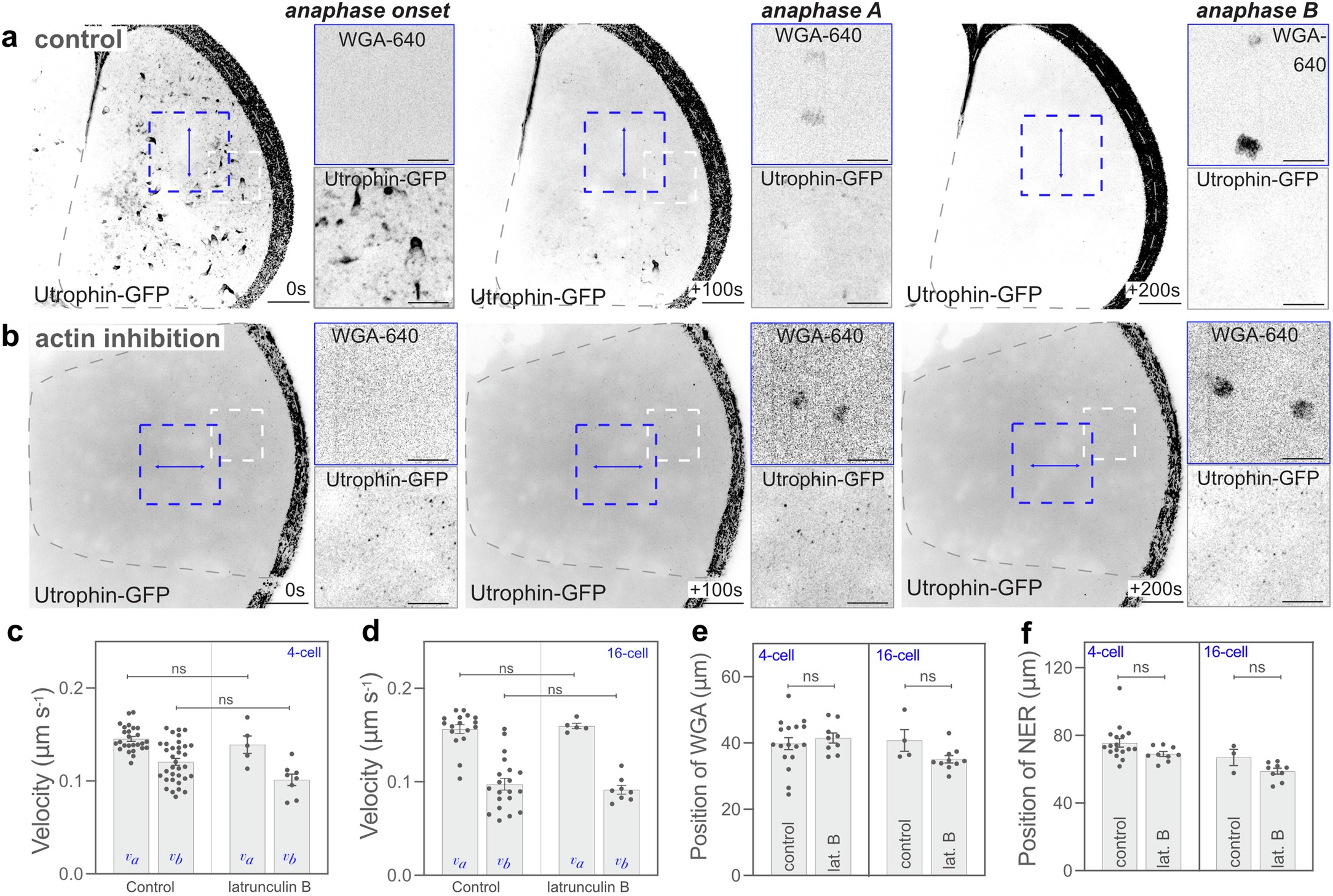 Extended Data Fig. 5