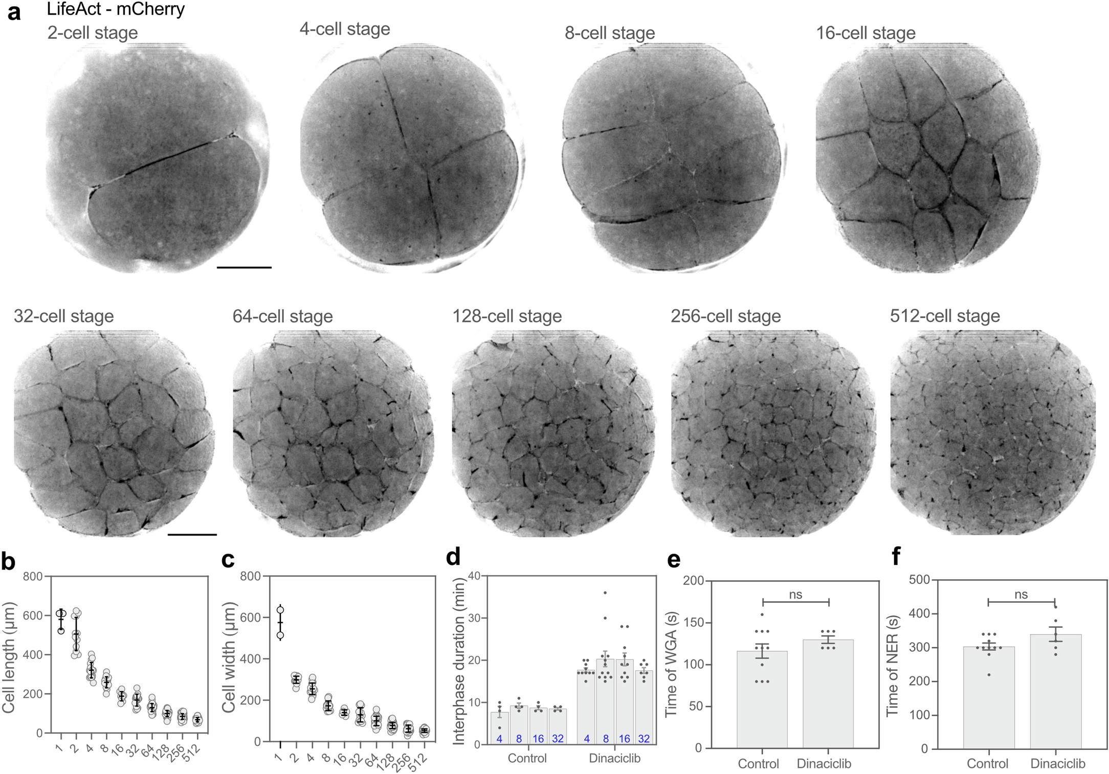 Extended Data Fig. 1