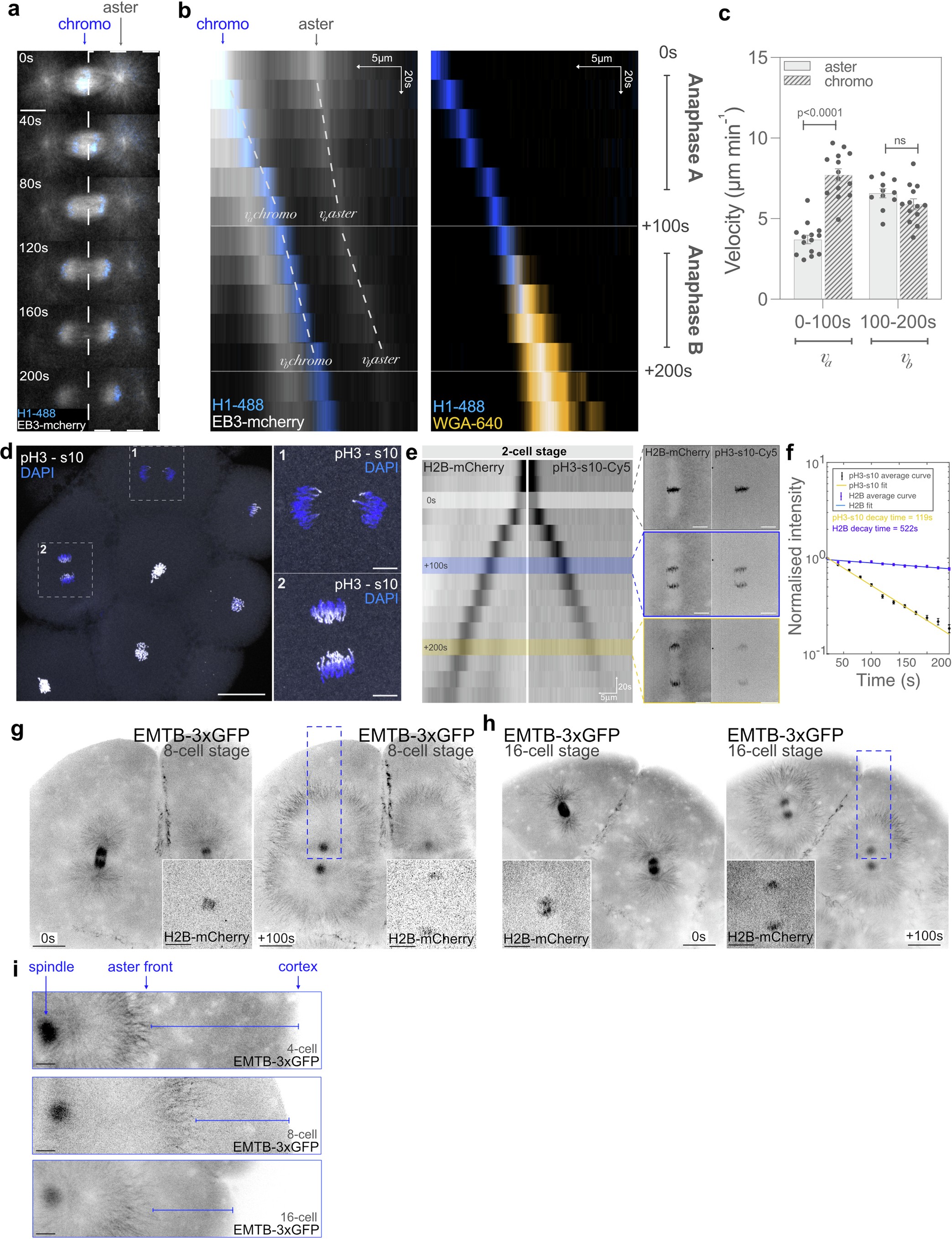 Extended Data Fig. 2