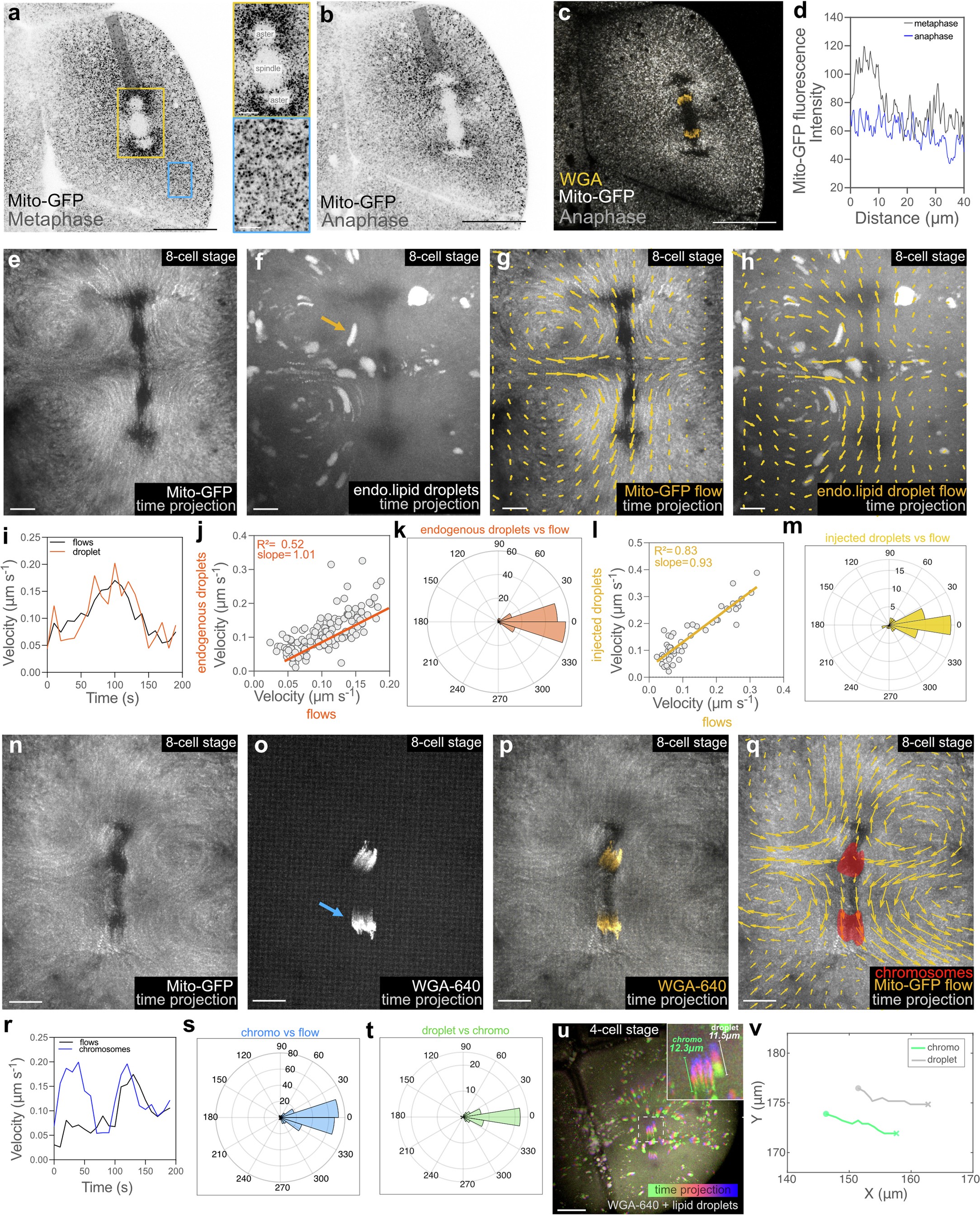 Extended Data Fig. 3