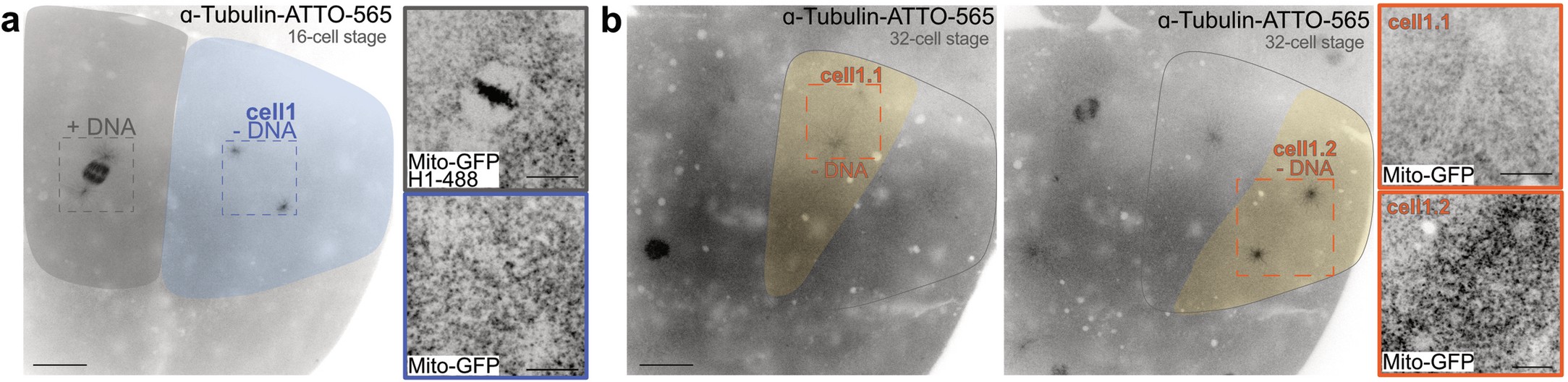 Extended Data Fig. 4