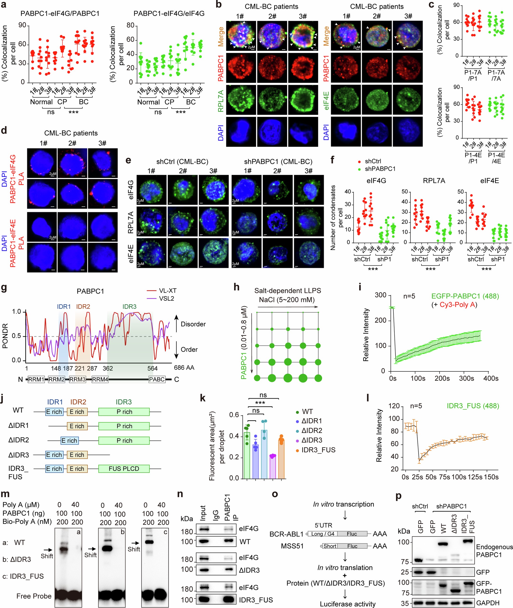 Extended Data Fig. 5