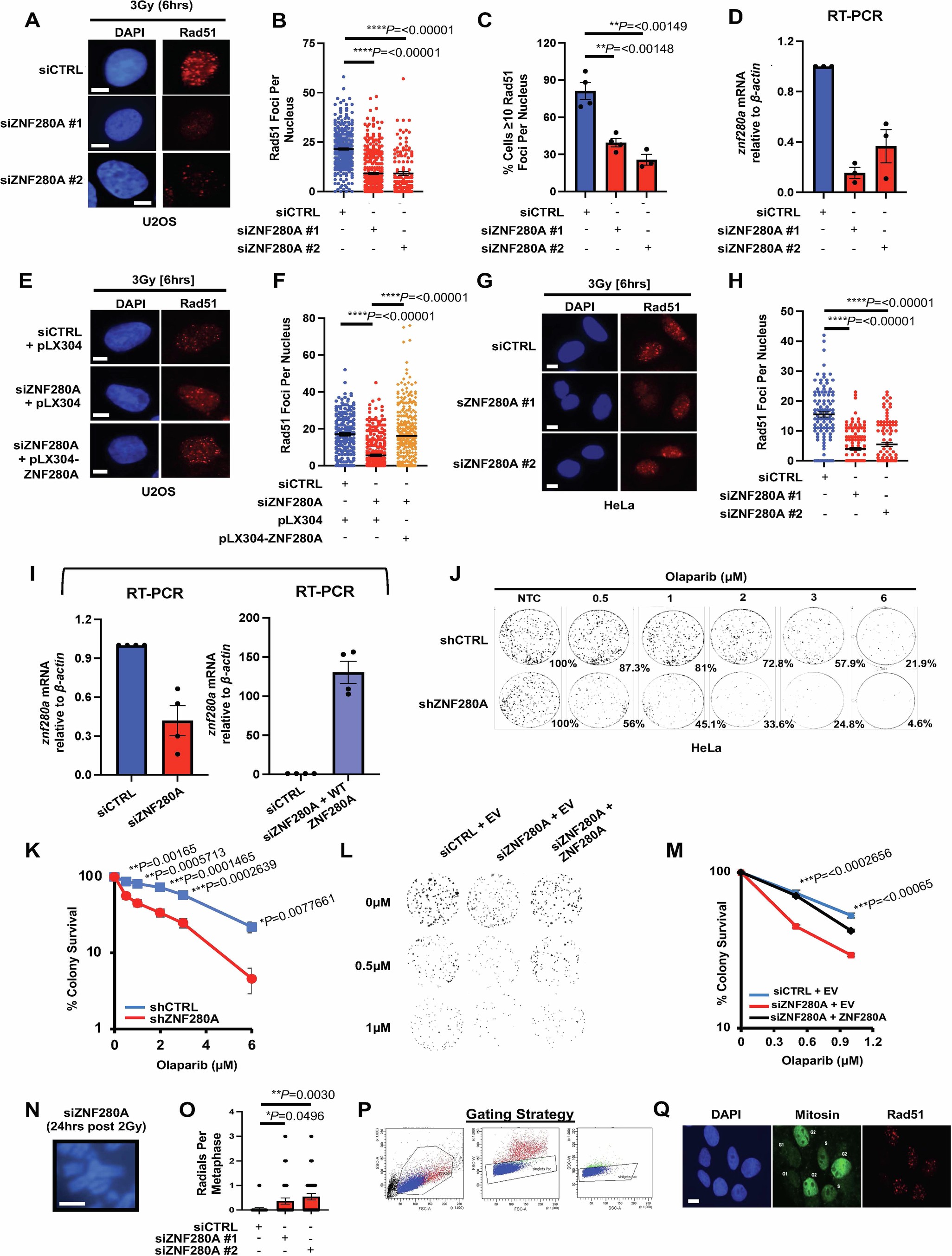 Extended Data Fig. 3