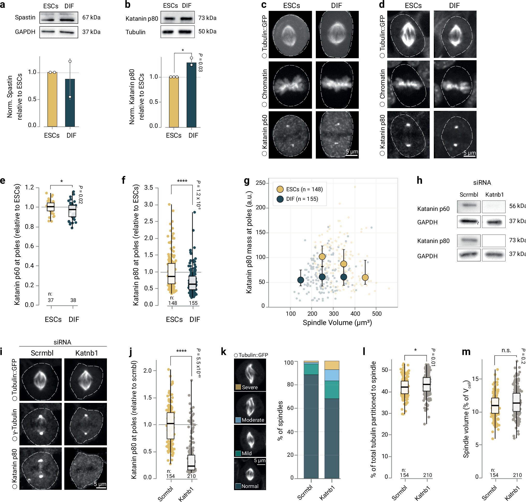 Extended Data Fig. 5