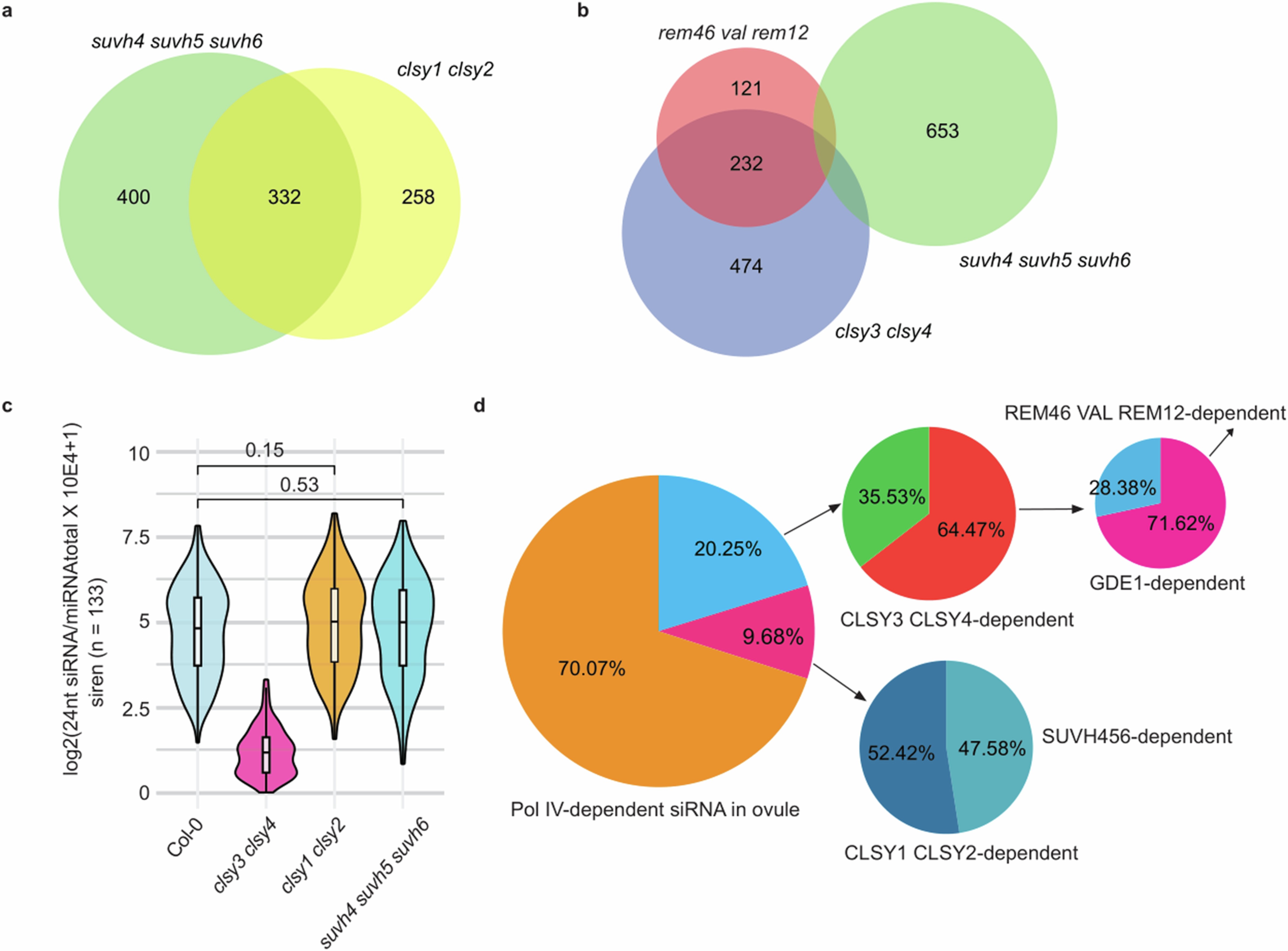 Extended Data Fig. 6: REM transcription factors-initiated siRNA biogenesis is independent of H3K9 methylation.
