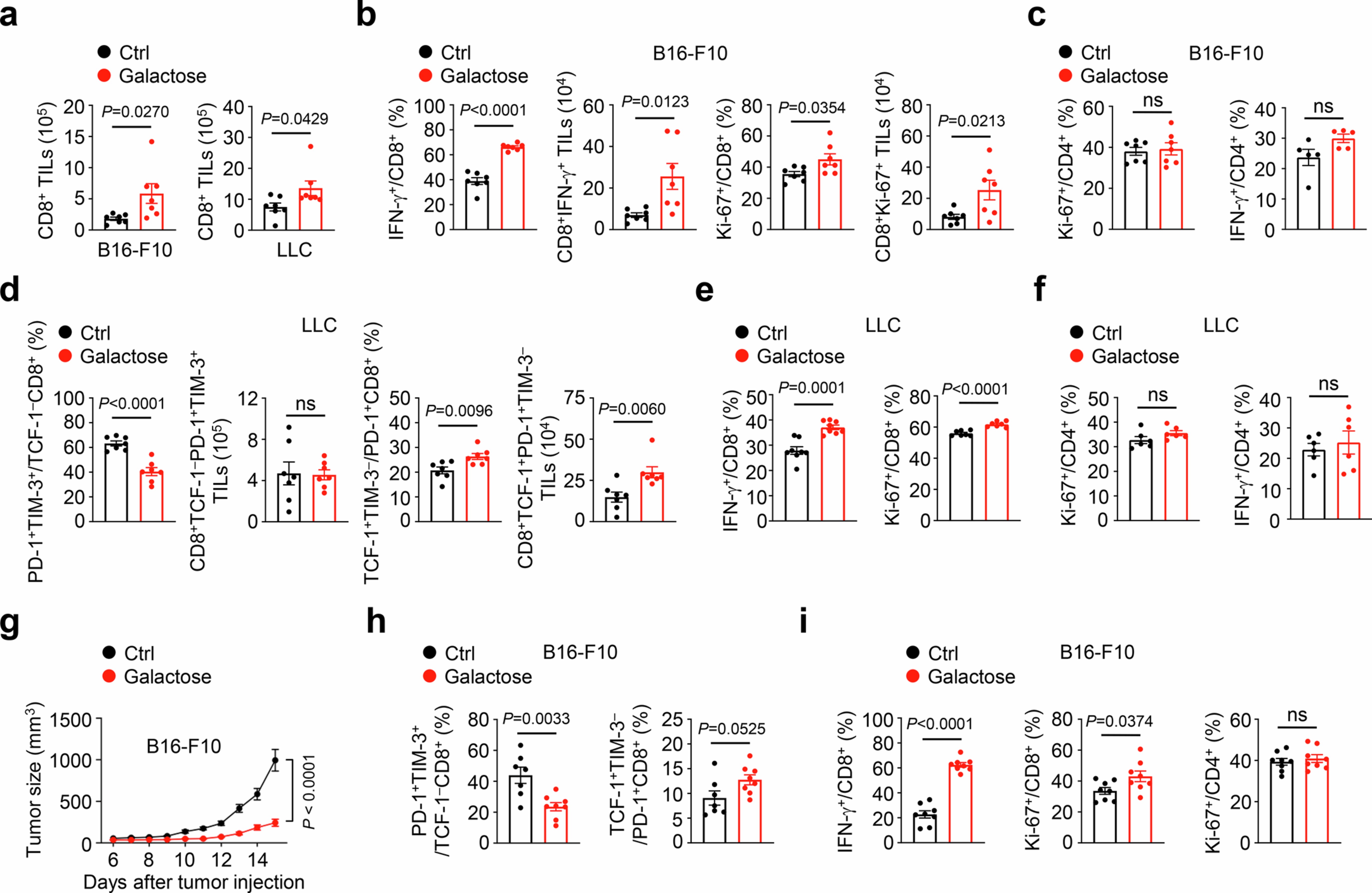 Extended Data Fig. 3: Dietary galactose prevents tumour-infiltrating CD8+ T cell exhaustion.