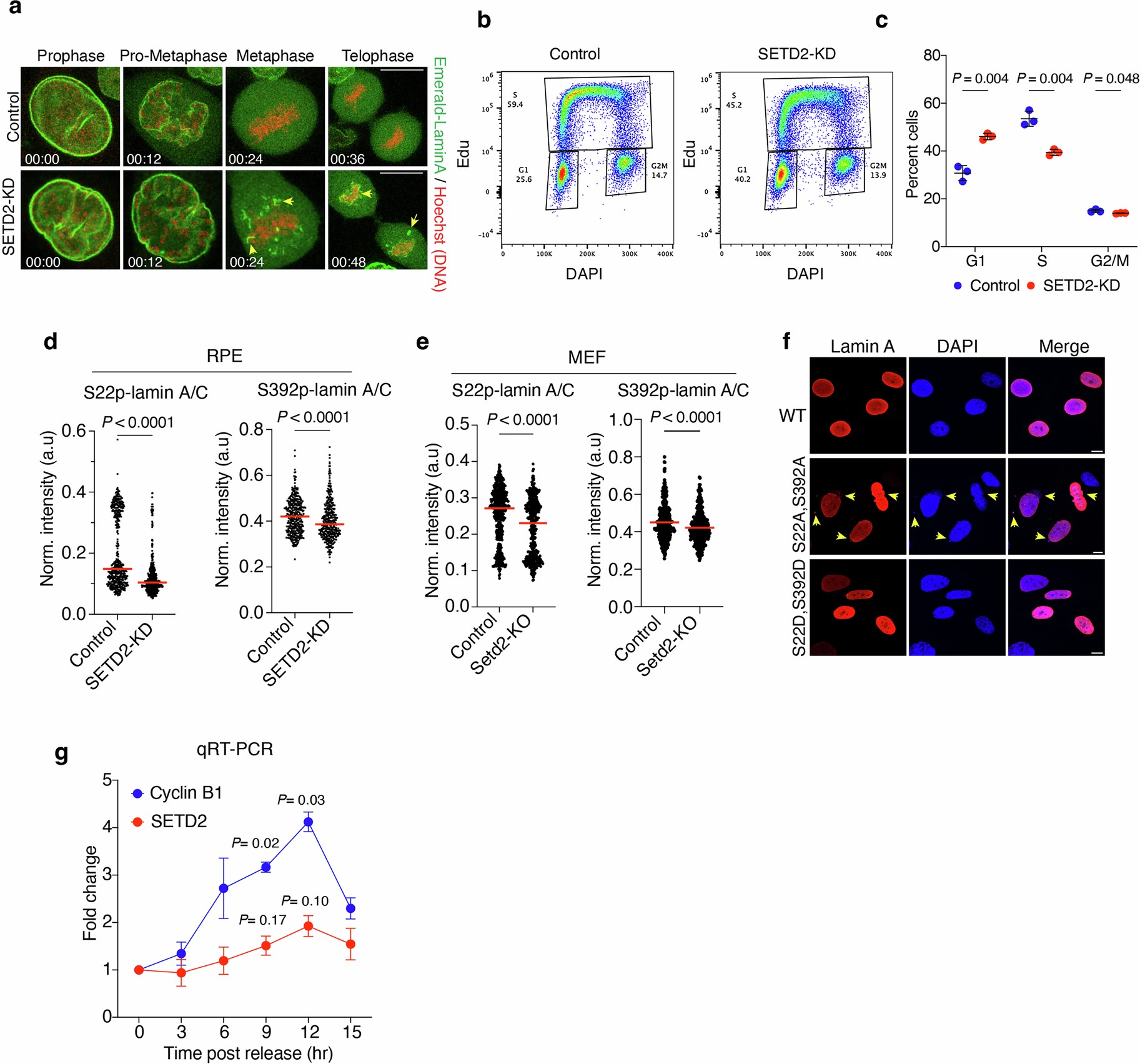Extended Data Fig. 4