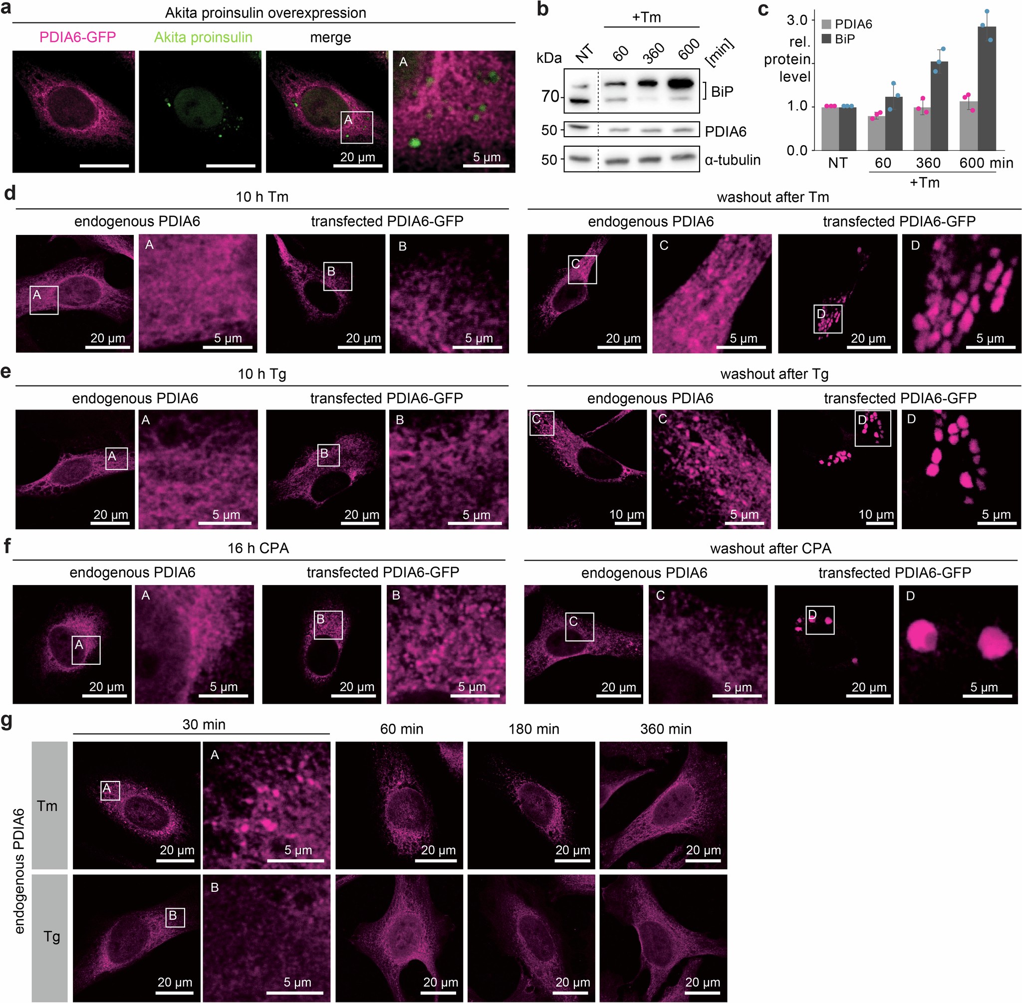 Extended Data Fig. 2