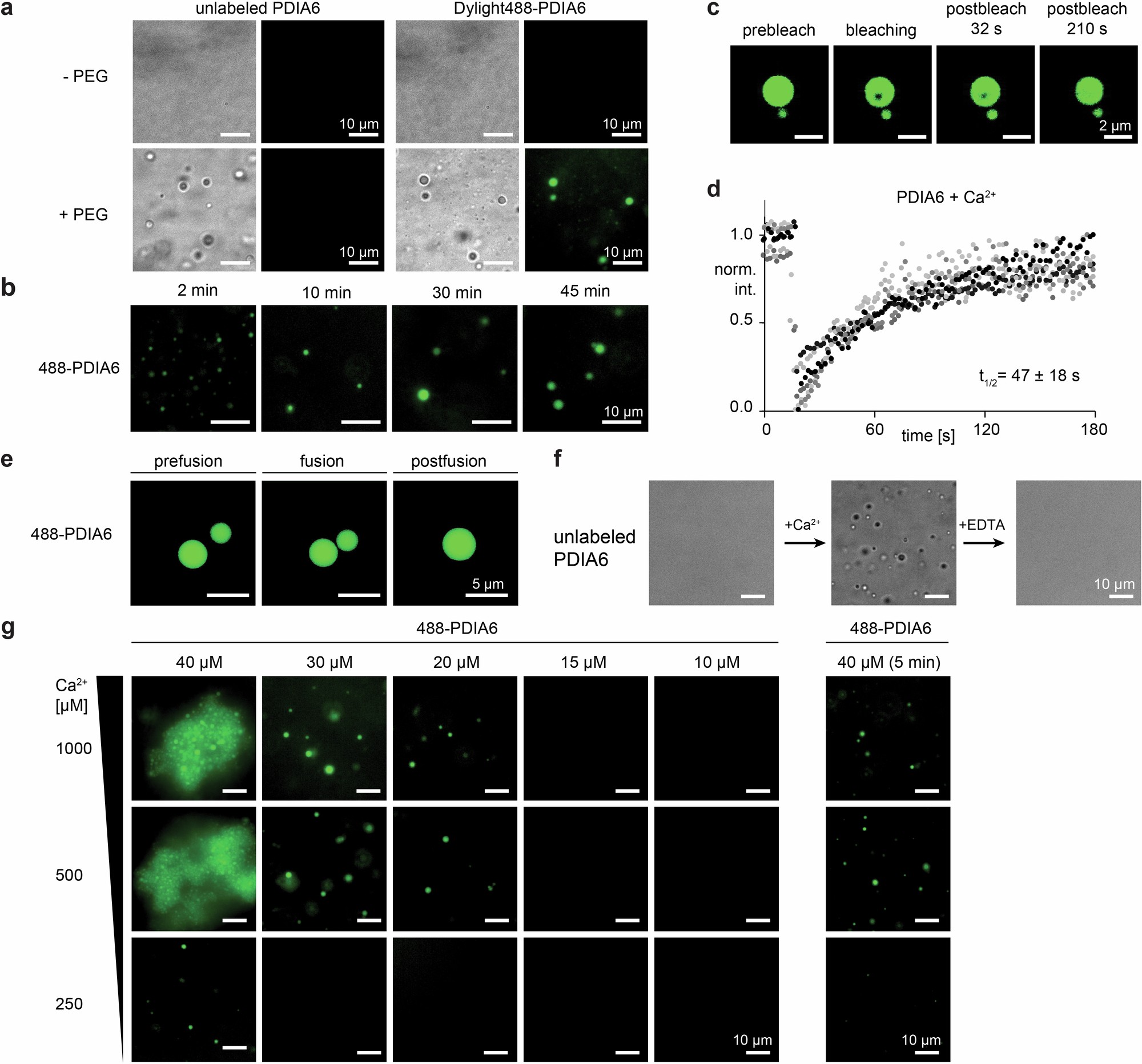 Extended Data Fig. 3