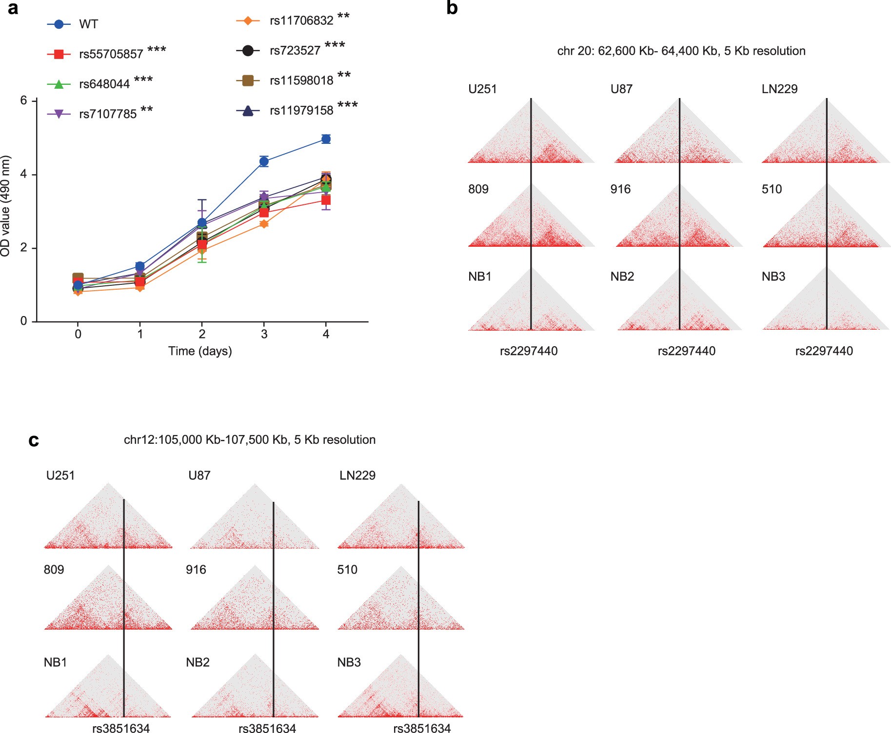 Extended Data Fig. 2: Profiles of enhancers associated with risk SNP.
