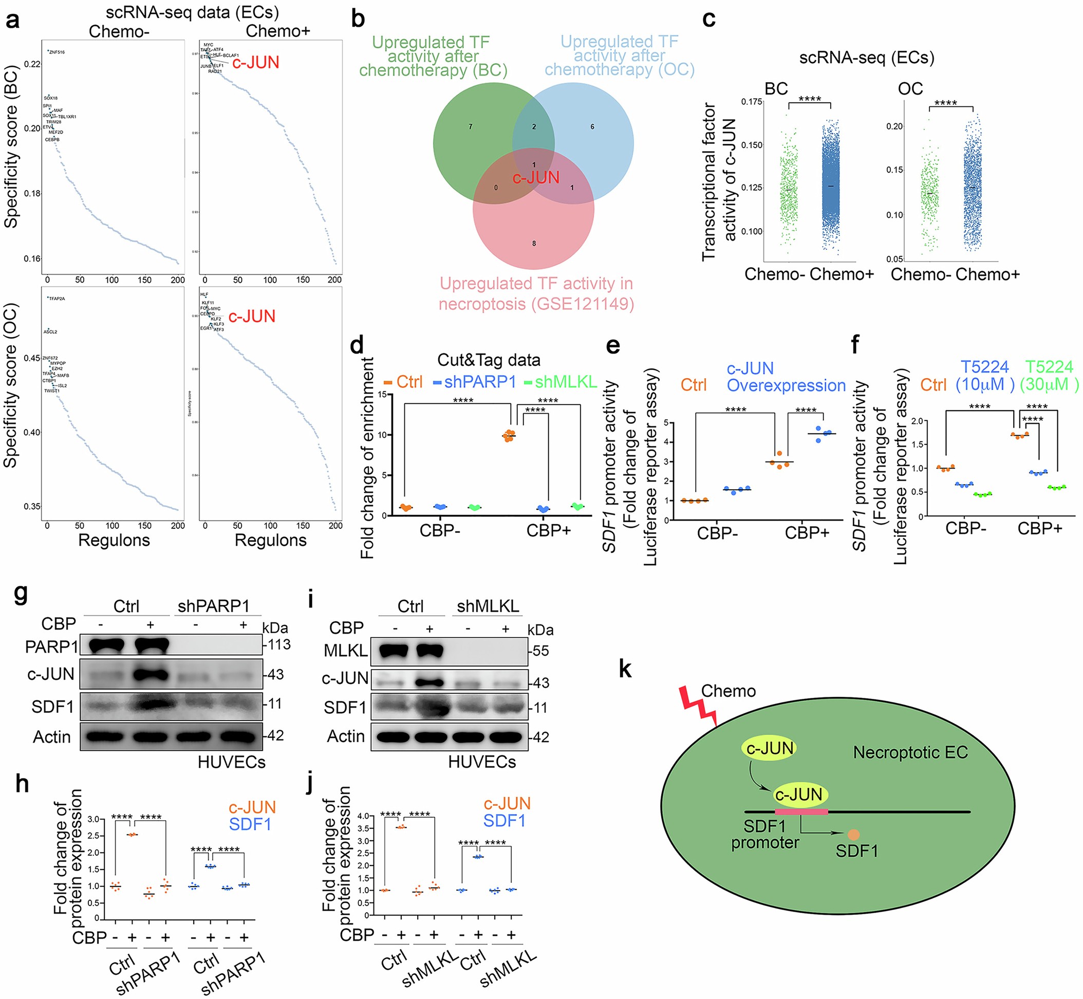 Extended Data Fig. 3