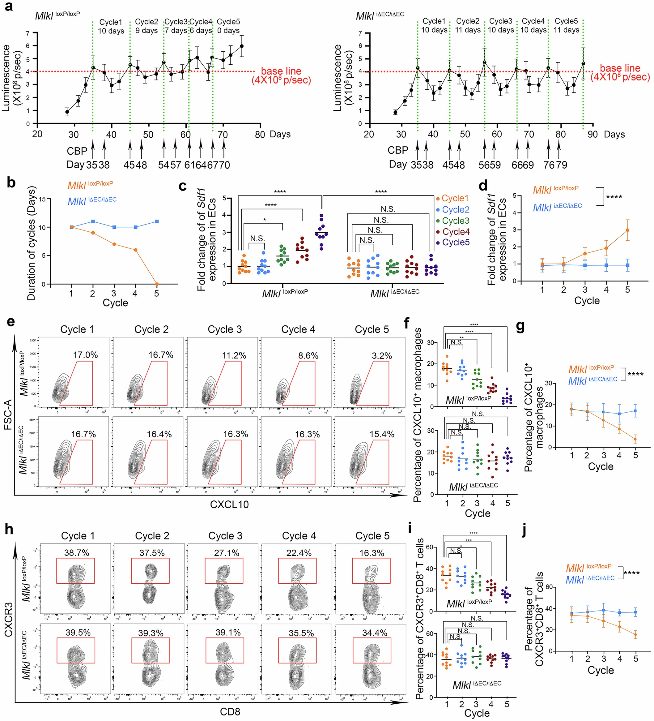 Extended Data Fig. 6