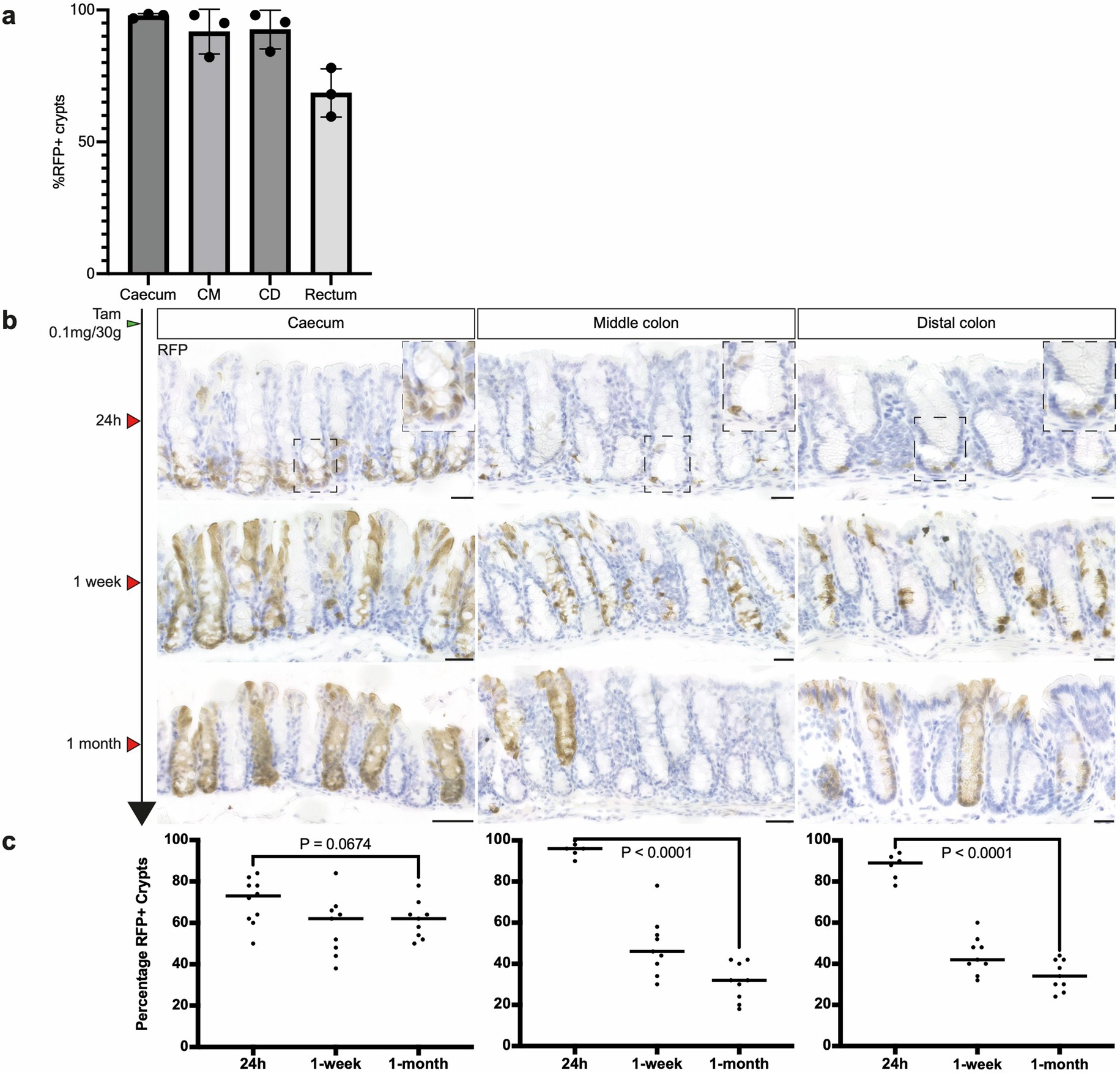 Extended Data Fig. 6