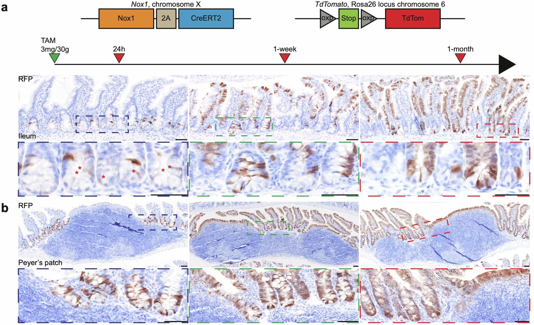 Extended Data Fig. 7