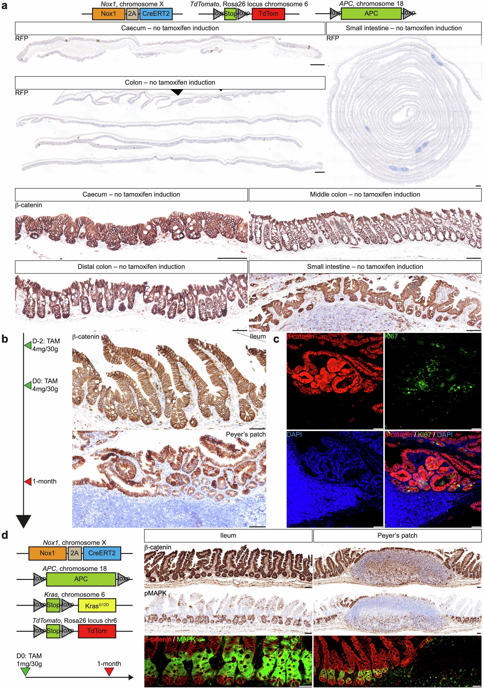 Extended Data Fig. 9