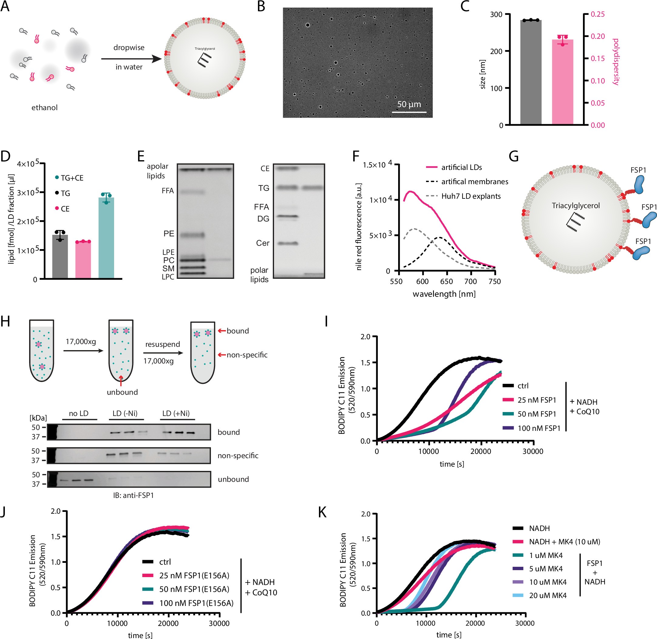 Extended Data Fig. 5
