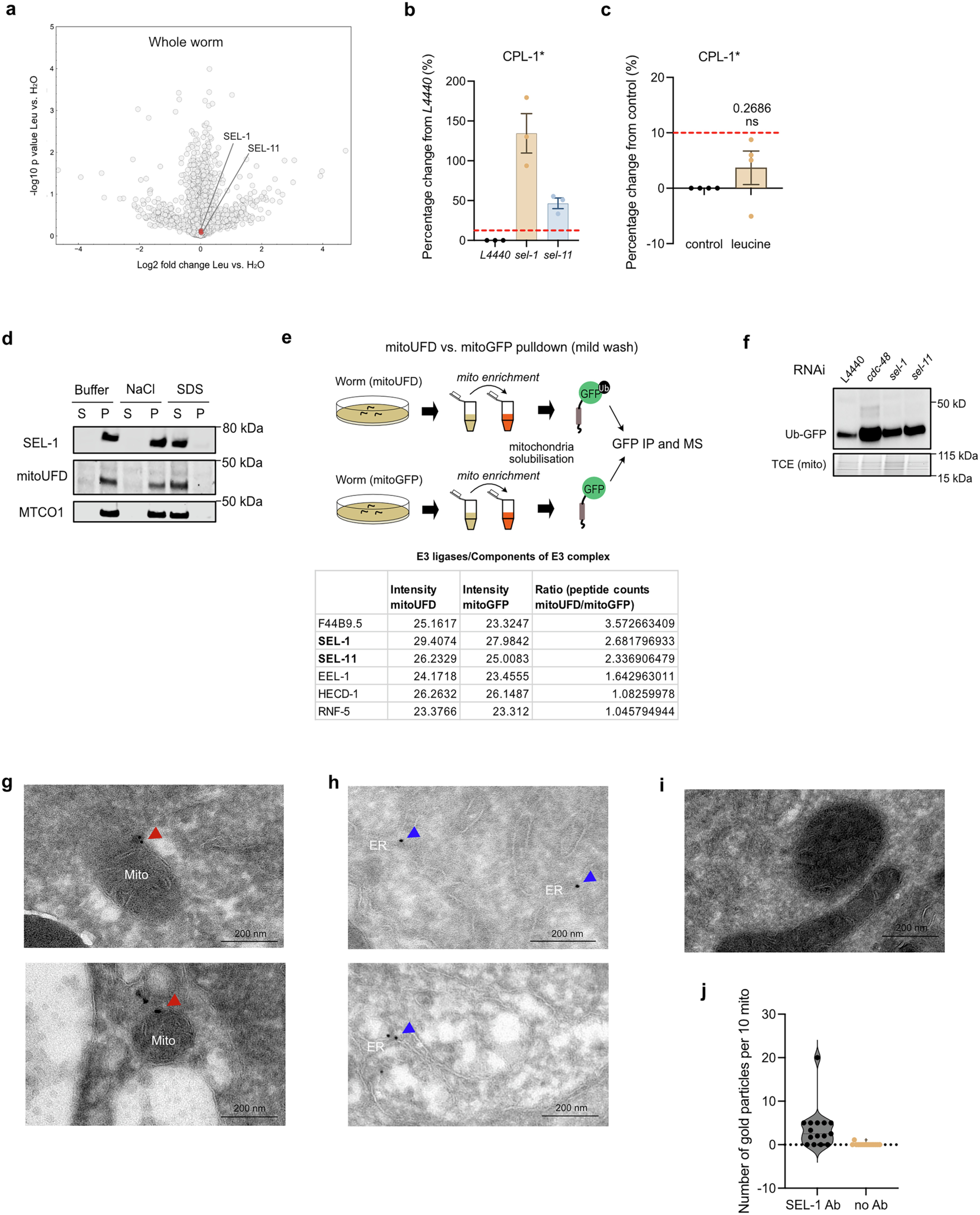 Extended Data Fig. 6