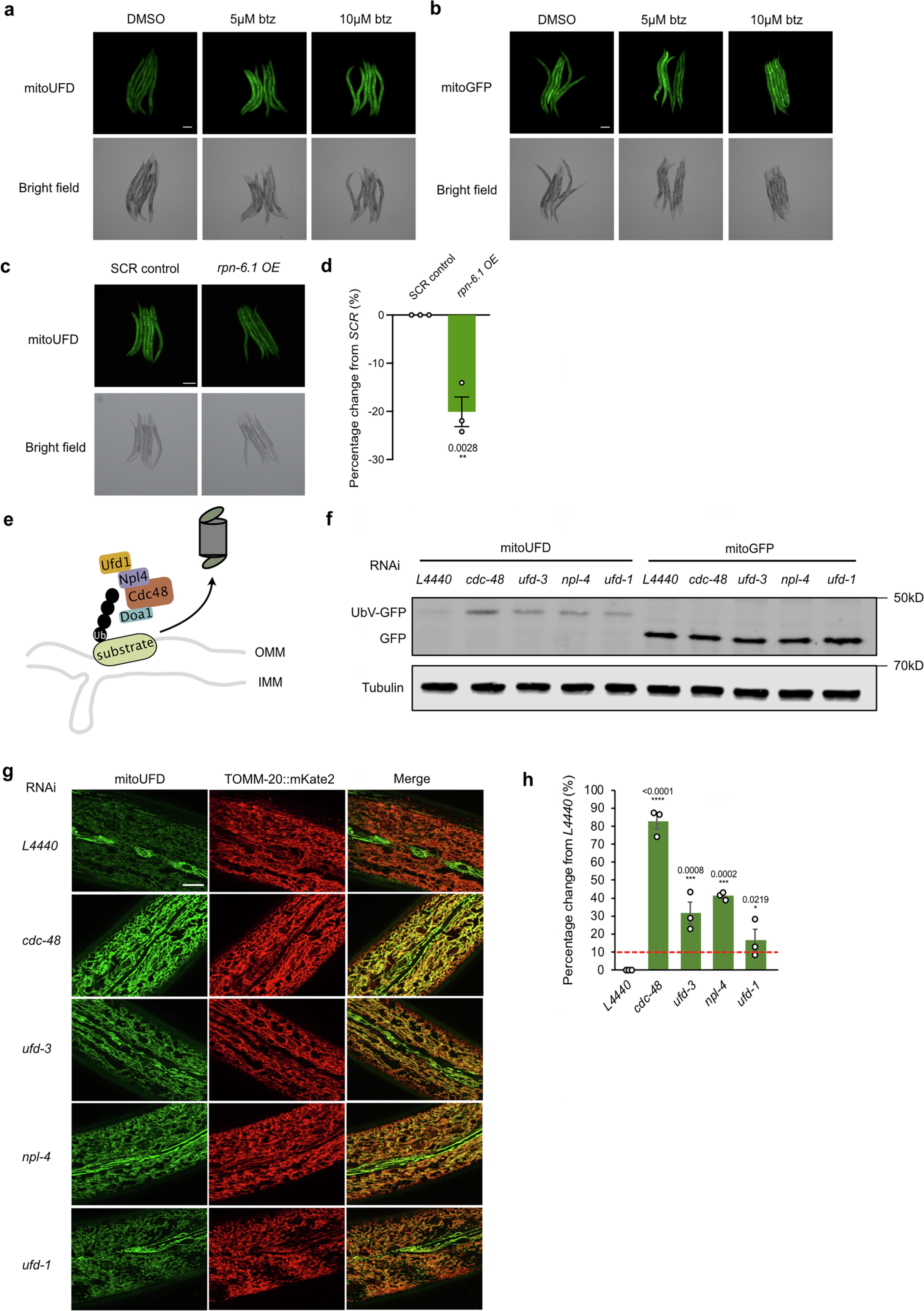 Extended Data Fig. 1