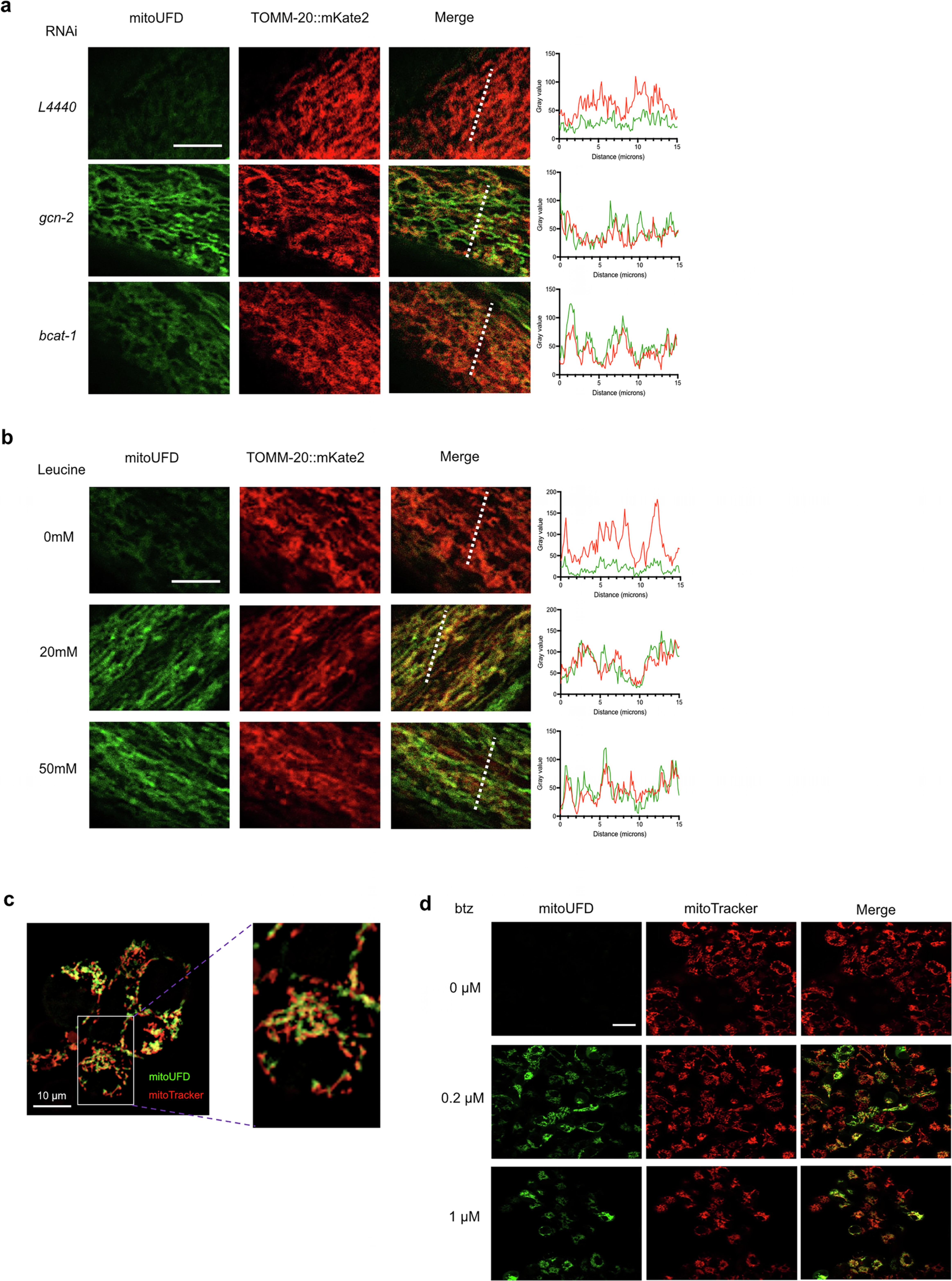 Extended Data Fig. 4