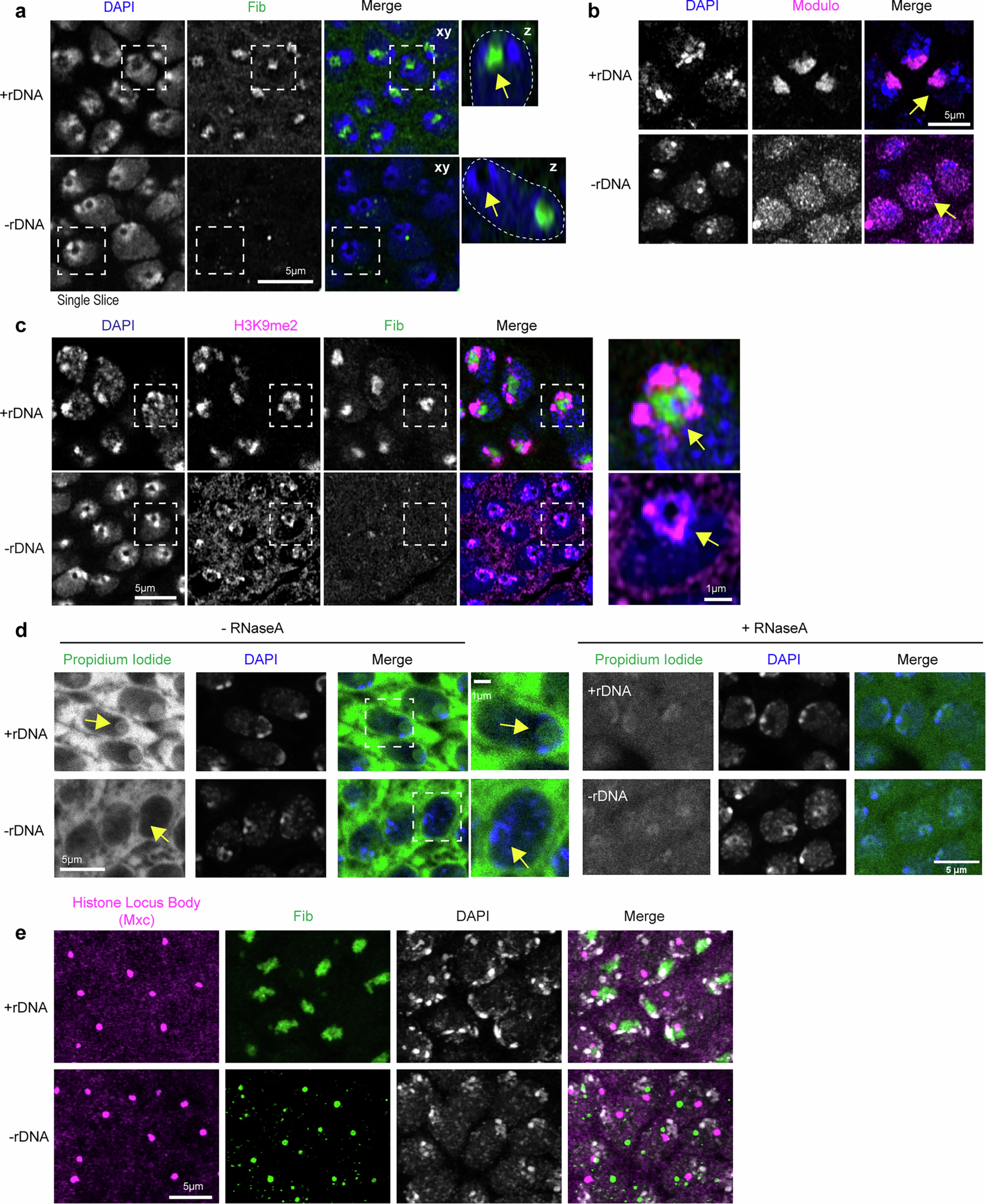 Extended Data Fig. 3
